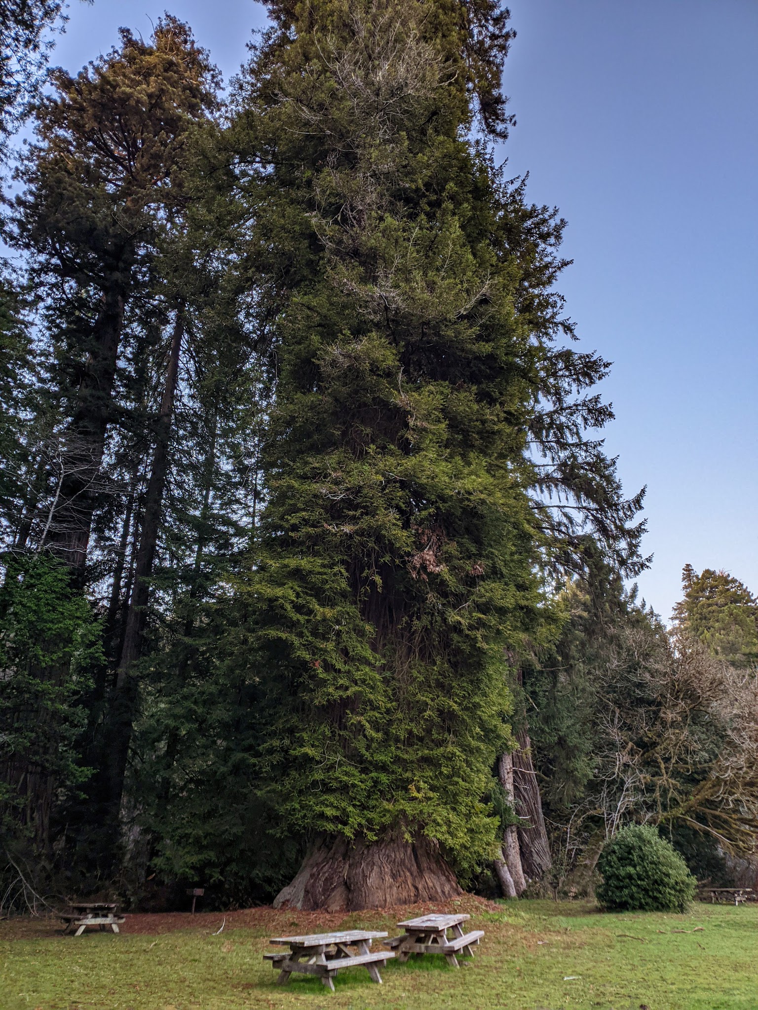 Prairie Creek Redwoods State Park Elk Prairie Campground