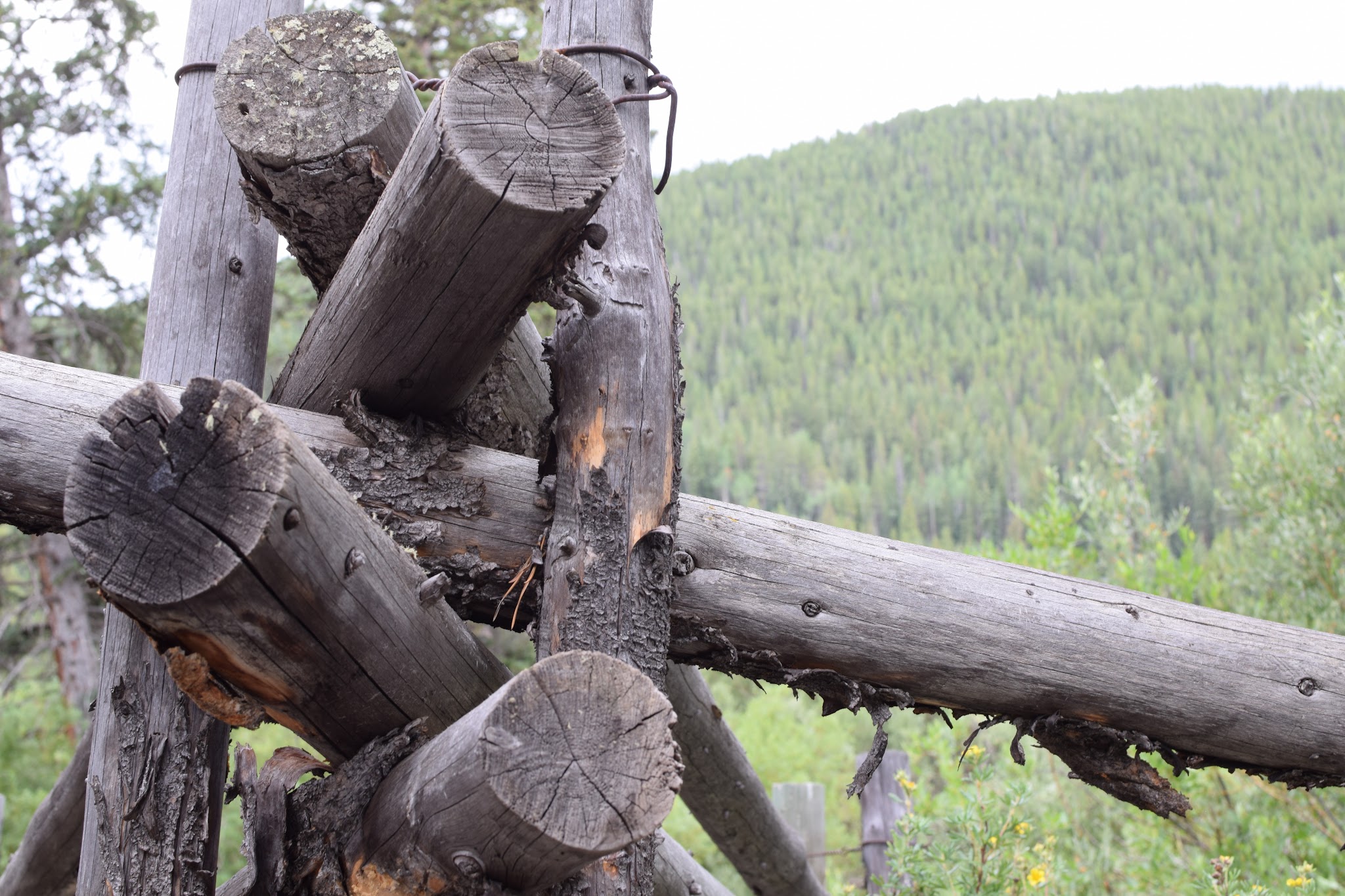 Elk Wallow Campground