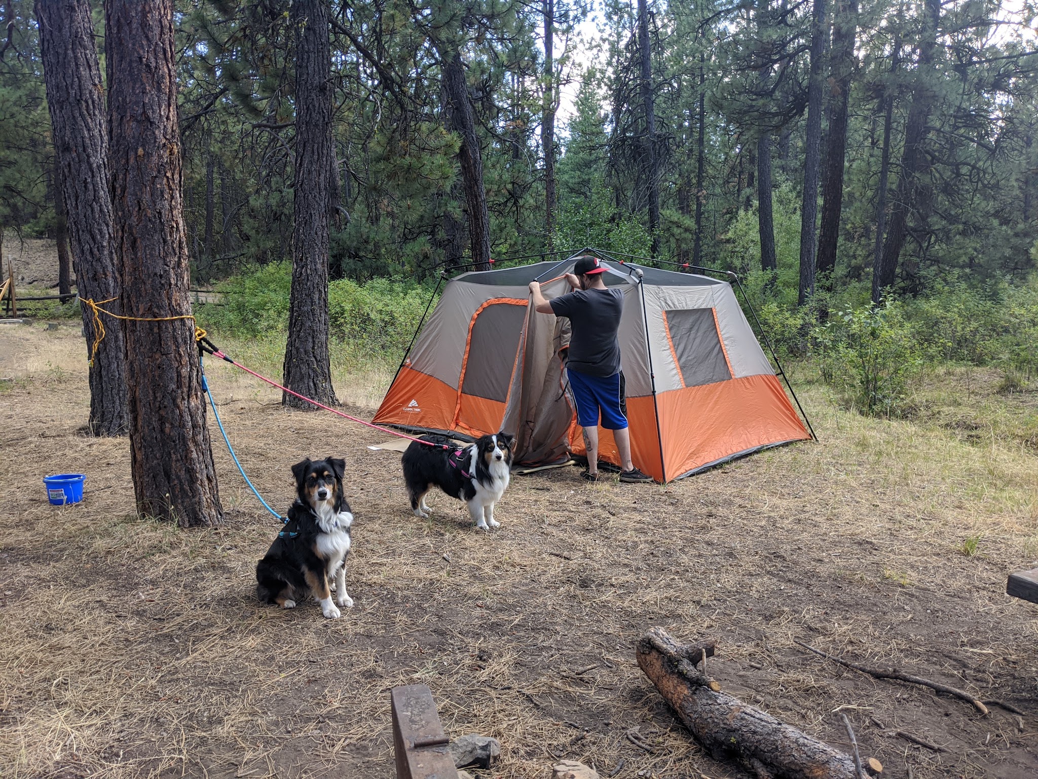 Elkhorn Campground