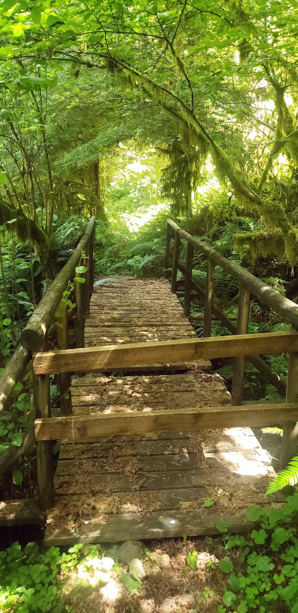 Elkhorn Valley Recreation Site