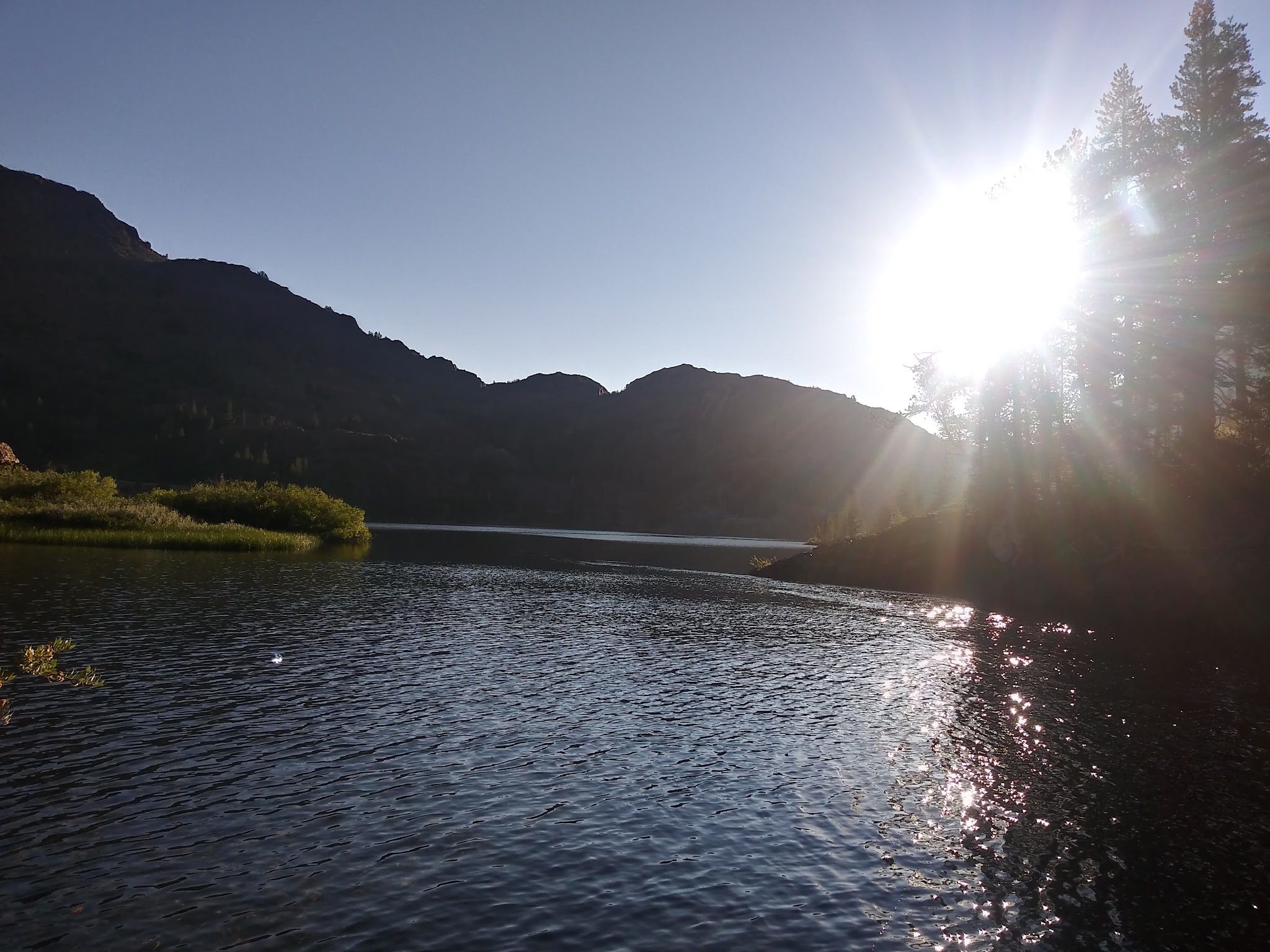 Ellery Lake Campground