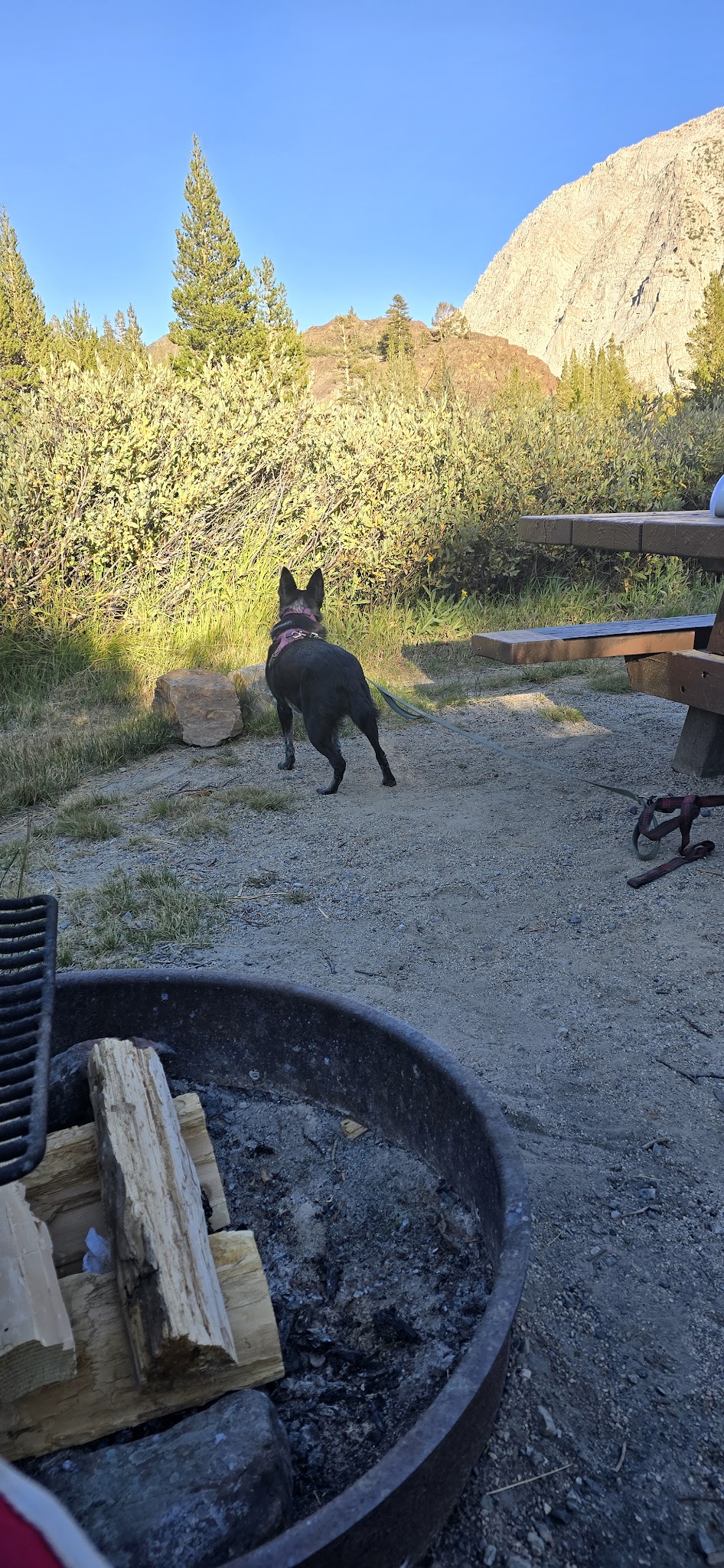 Ellery Lake Campground