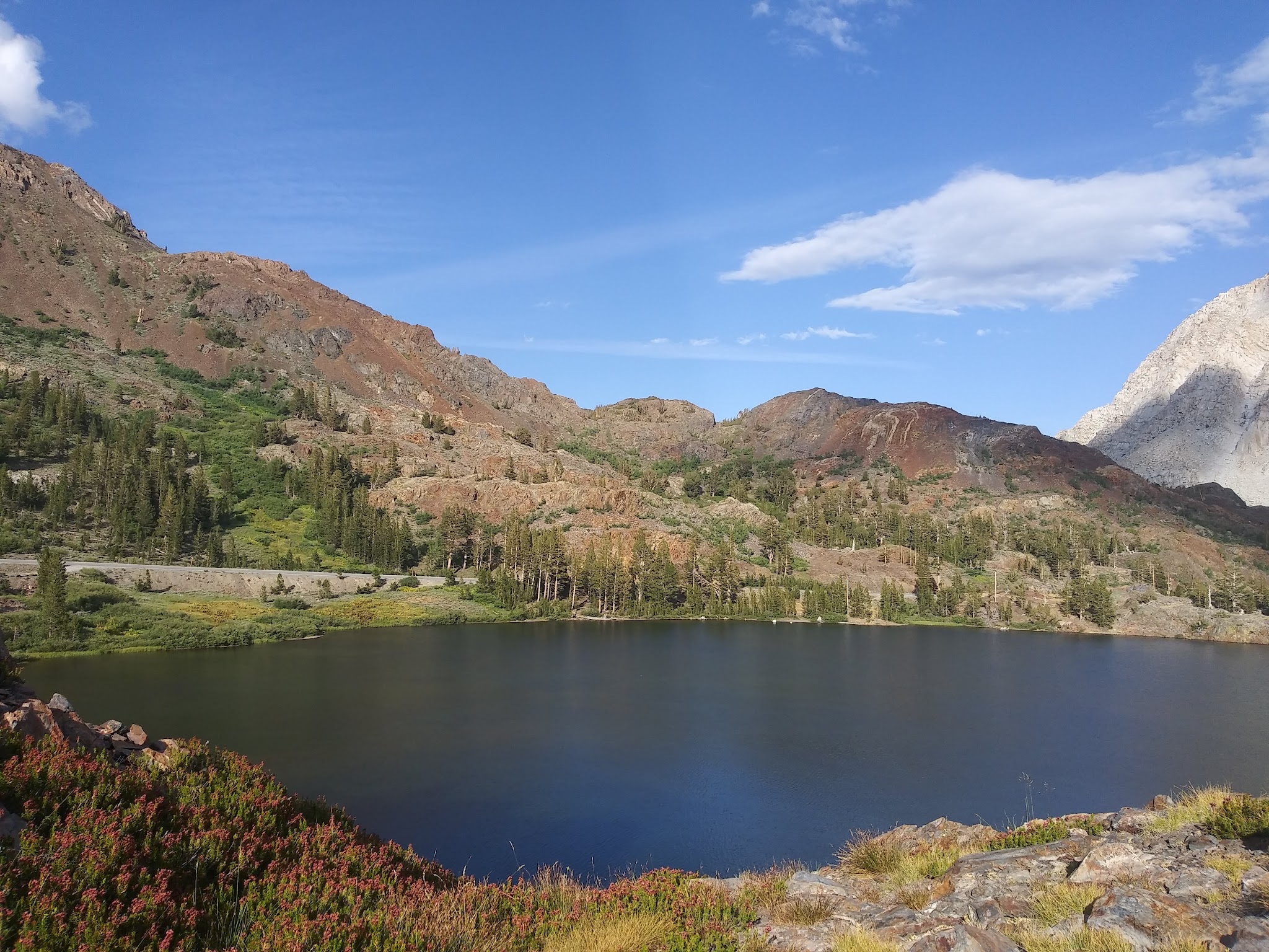 Ellery Lake Campground