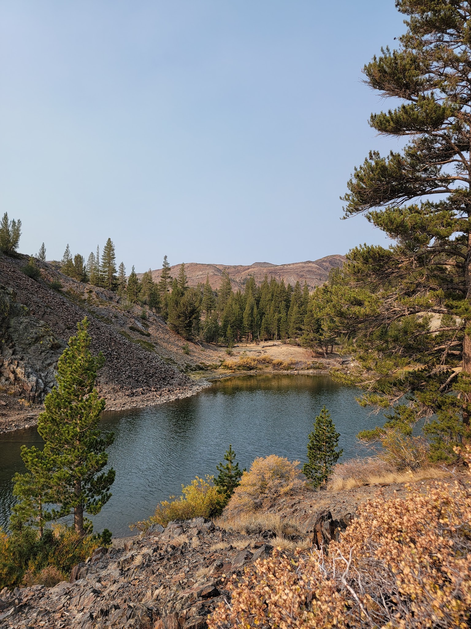 Ellery Lake Campground