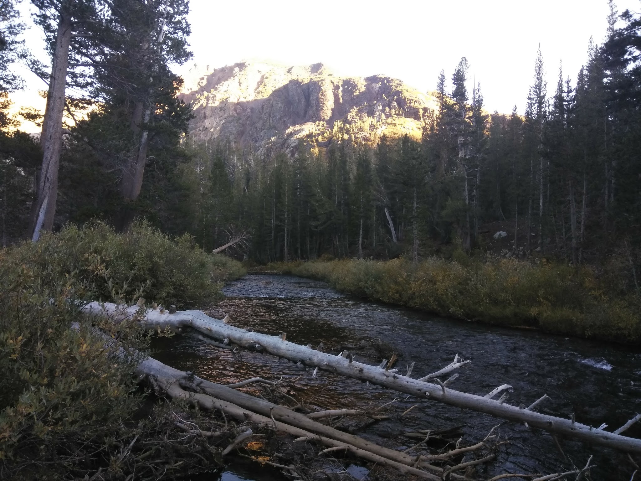 Ellery Lake Campground