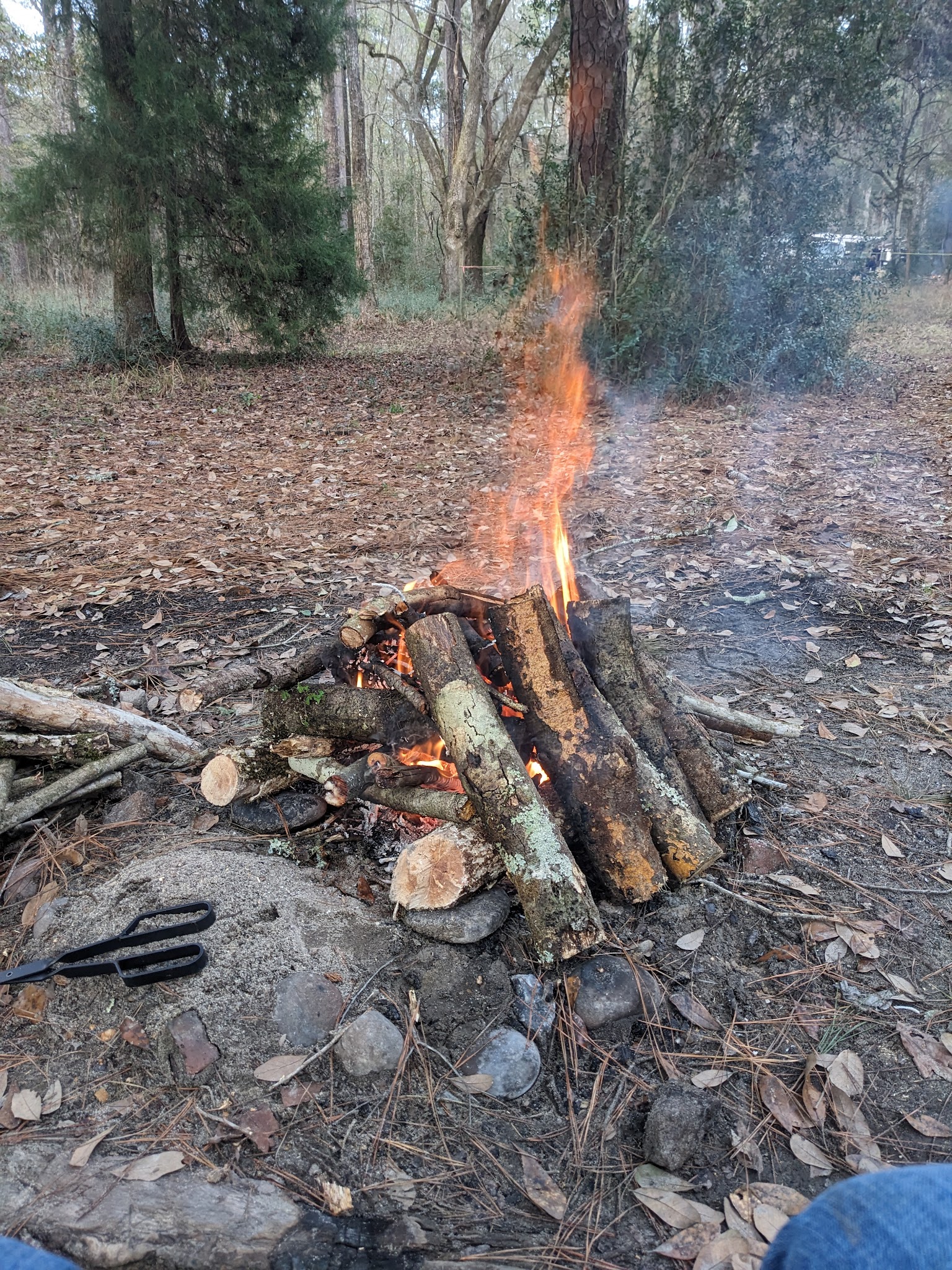 Elmwood Recreation Area