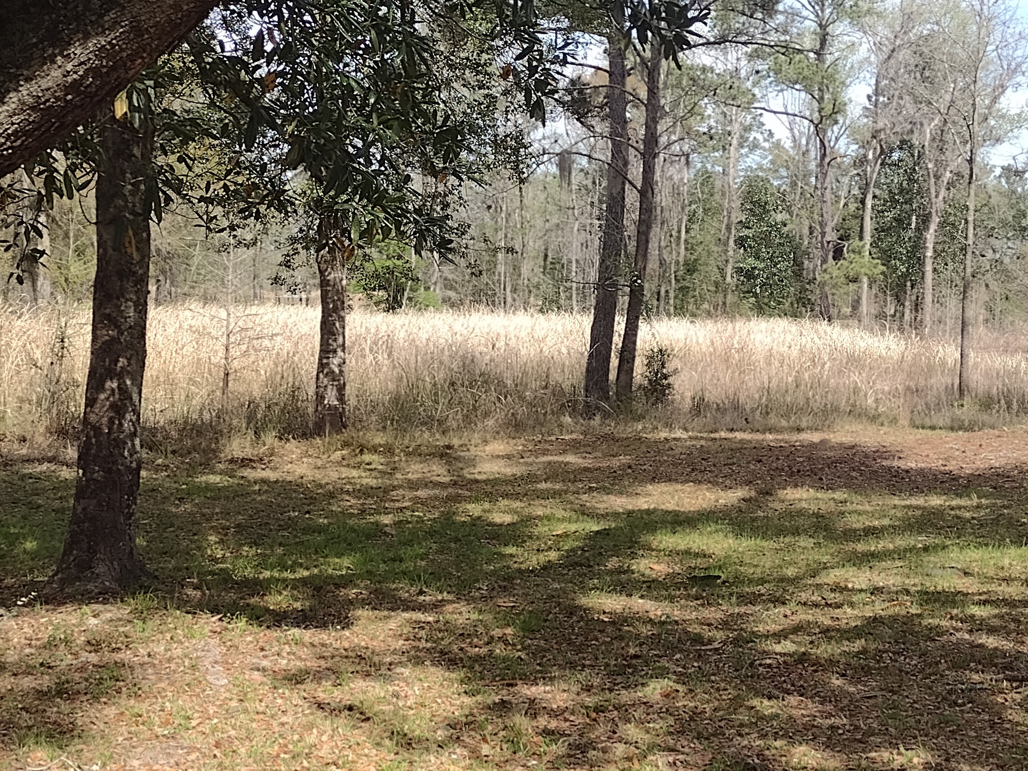 Elmwood Recreation Area