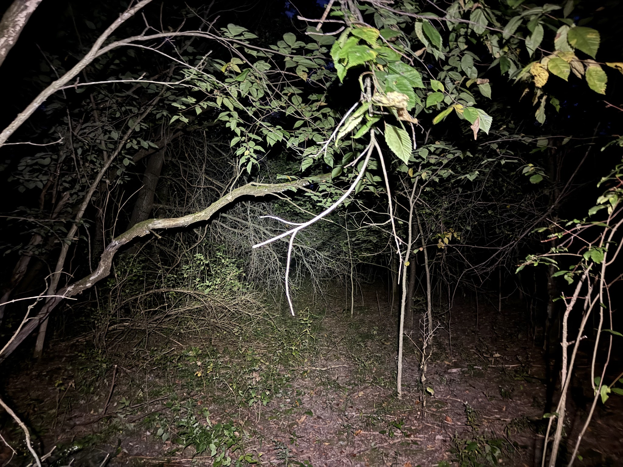 Elroy-Sparta State Trail