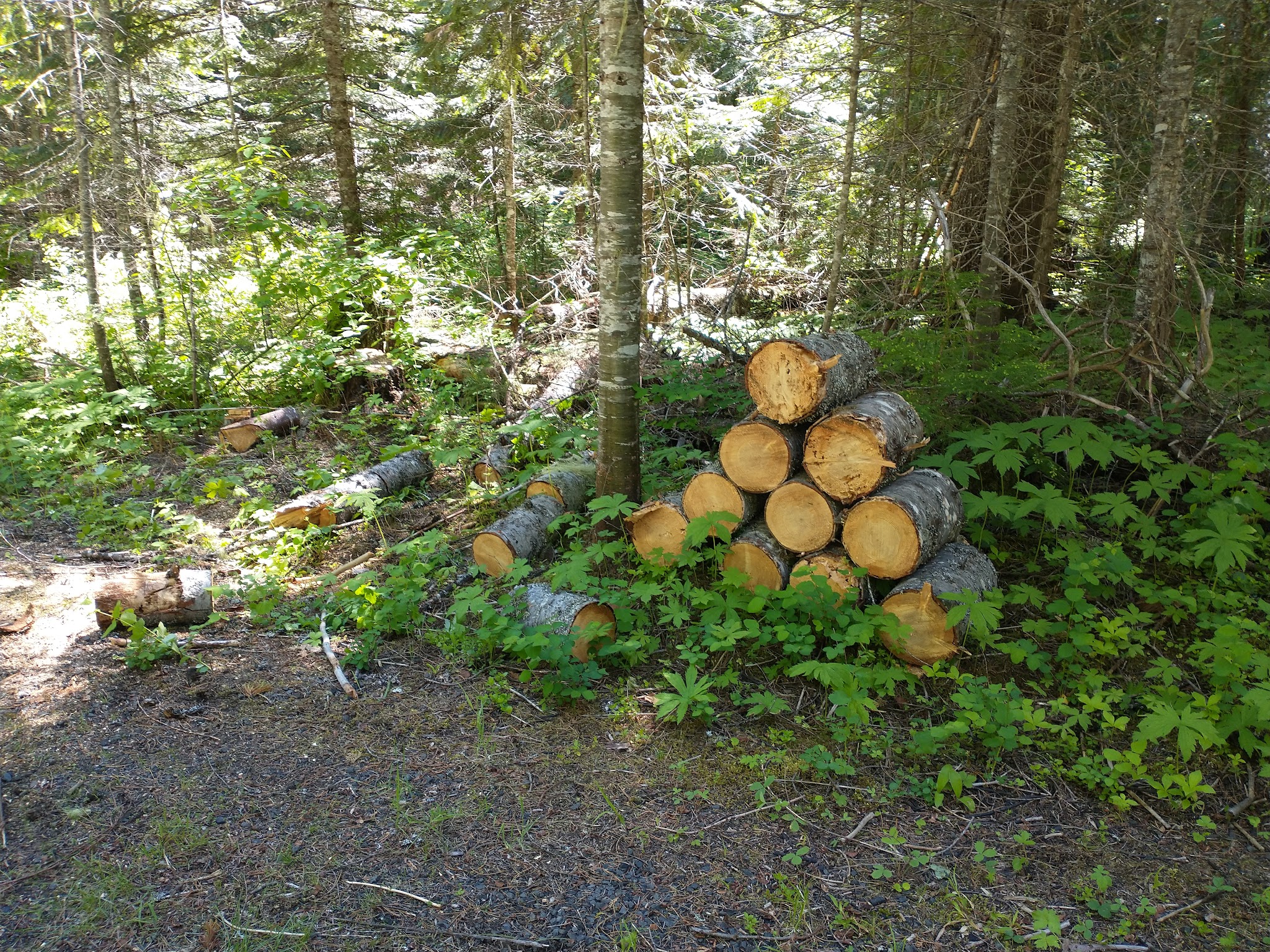 Emerald Creek Campground