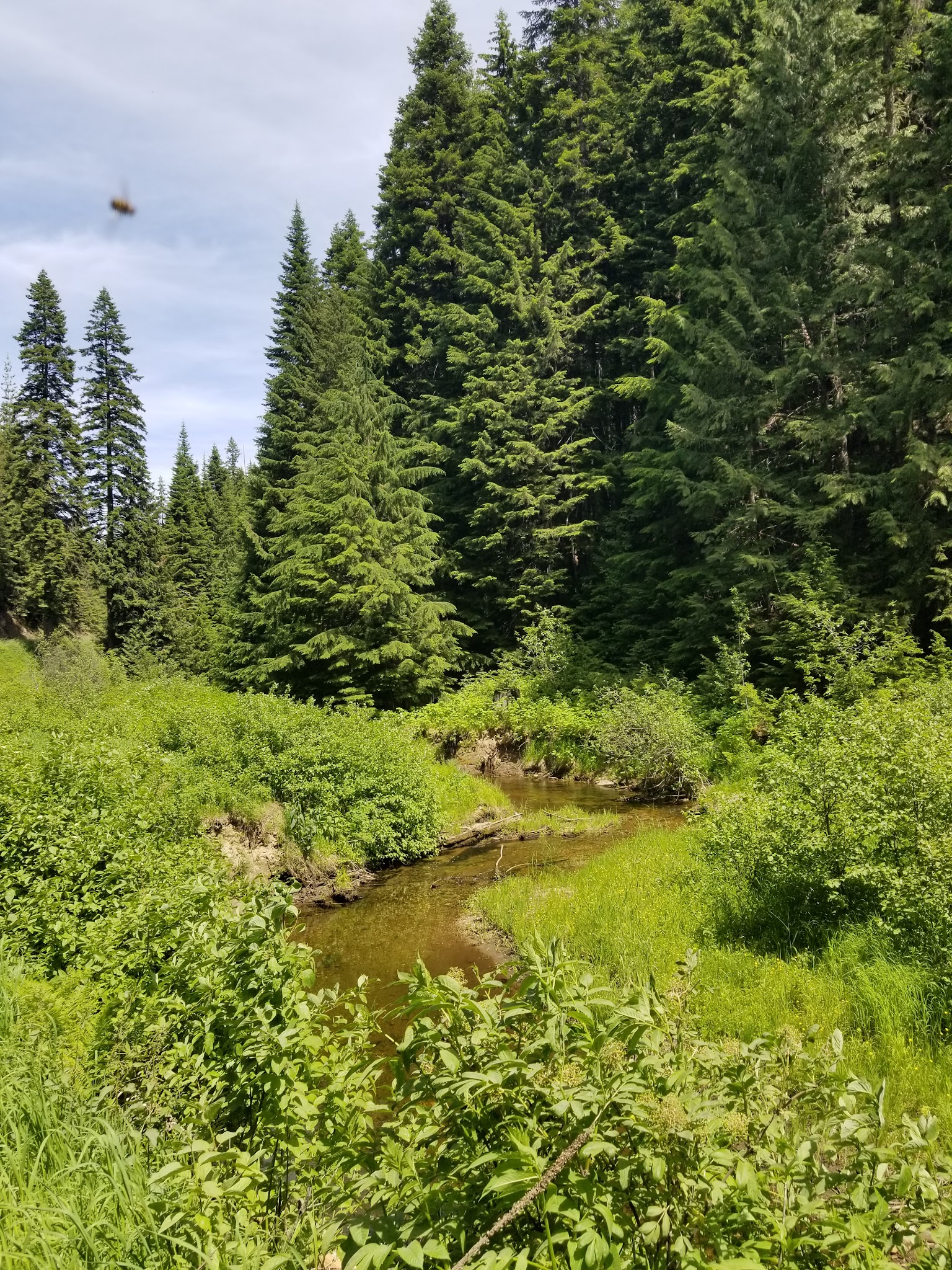 Emerald Creek Campground