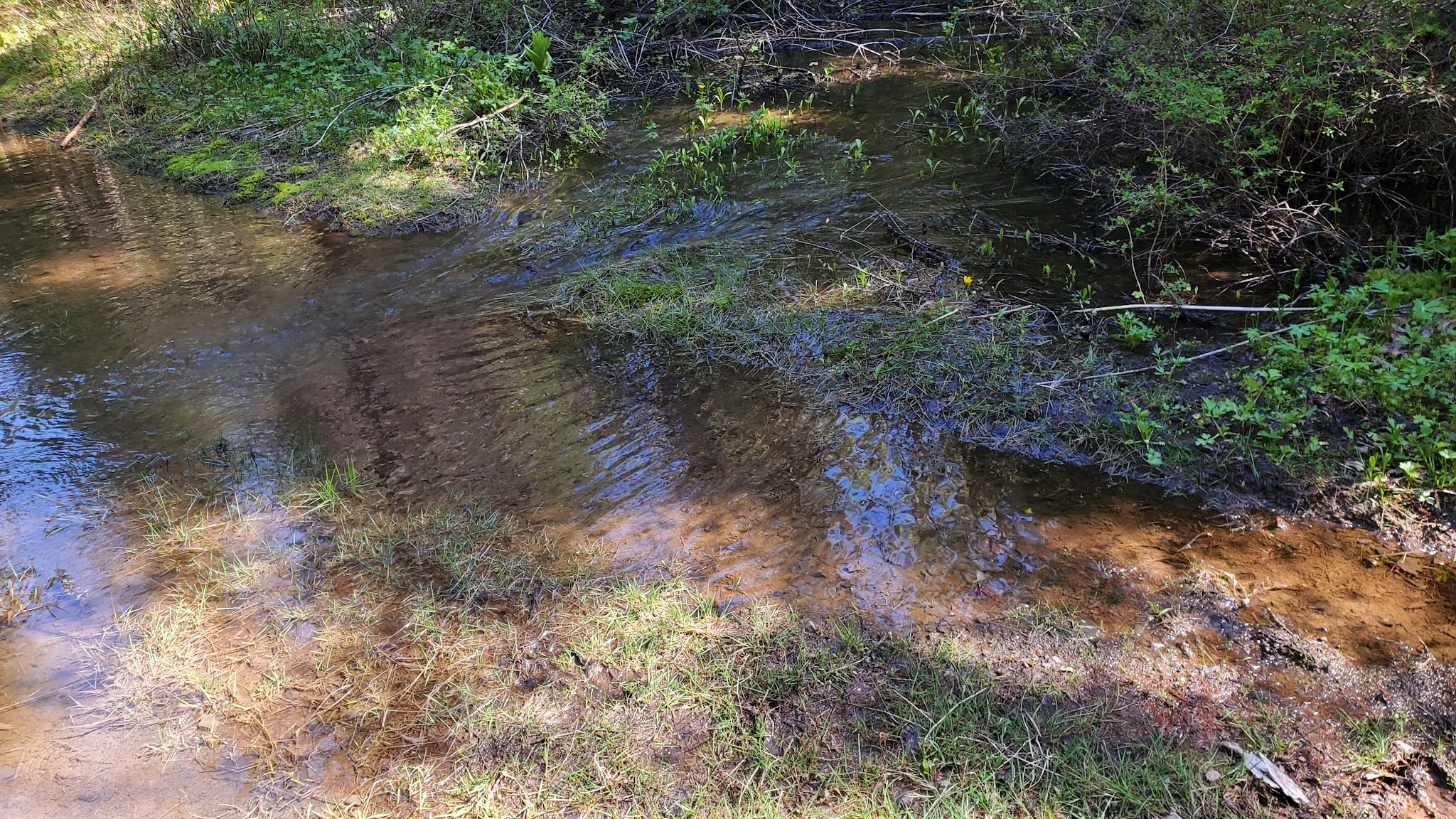 Emigrant Springs State Heritage Area