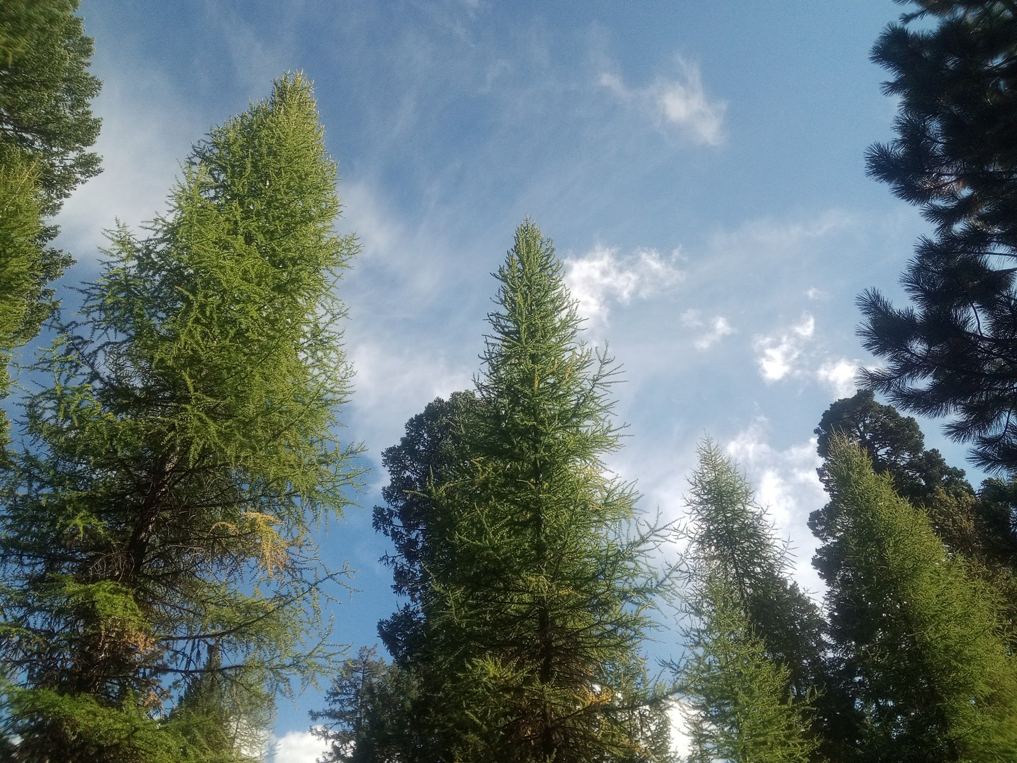 Emigrant Springs State Heritage Area