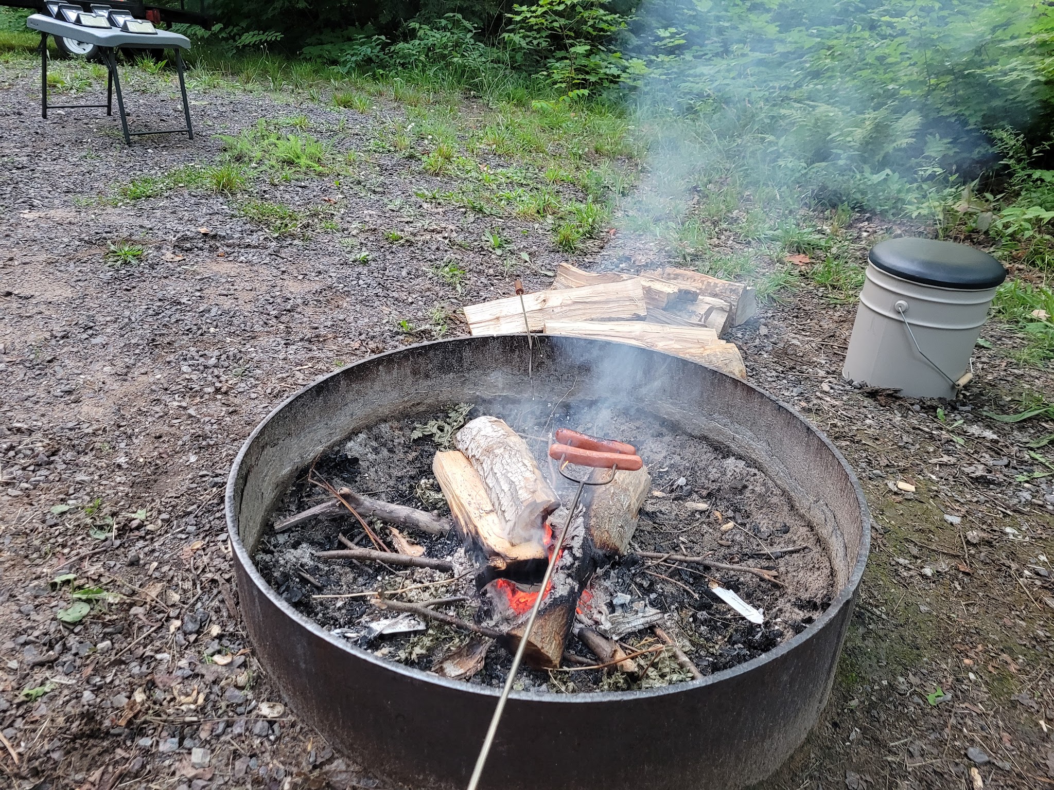 Emily Lake State Forest Campground
