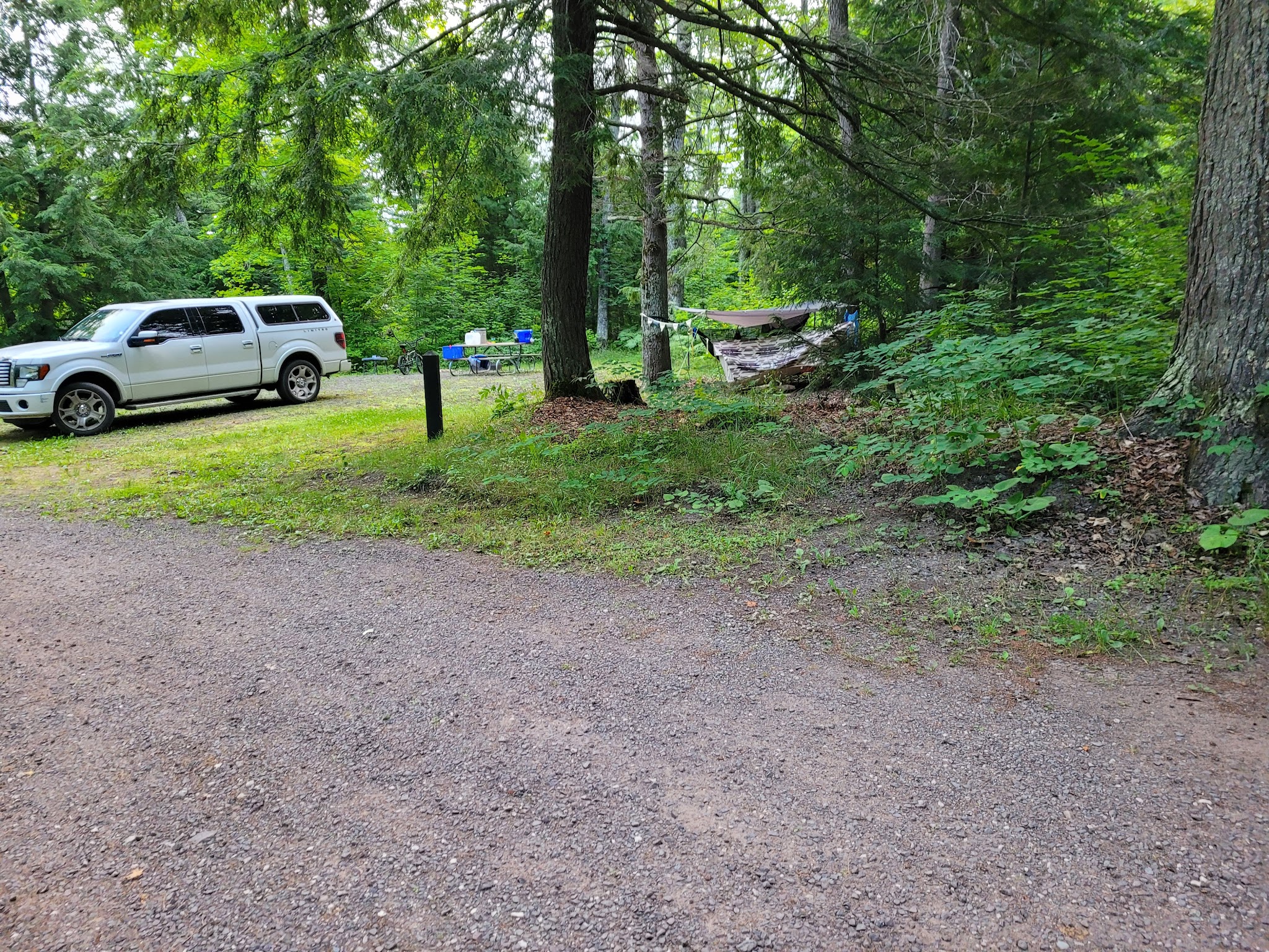 Emily Lake State Forest Campground