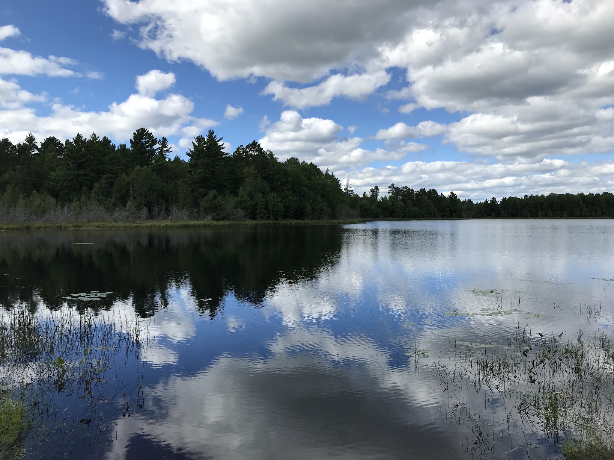 Emily Lake Recreation Area