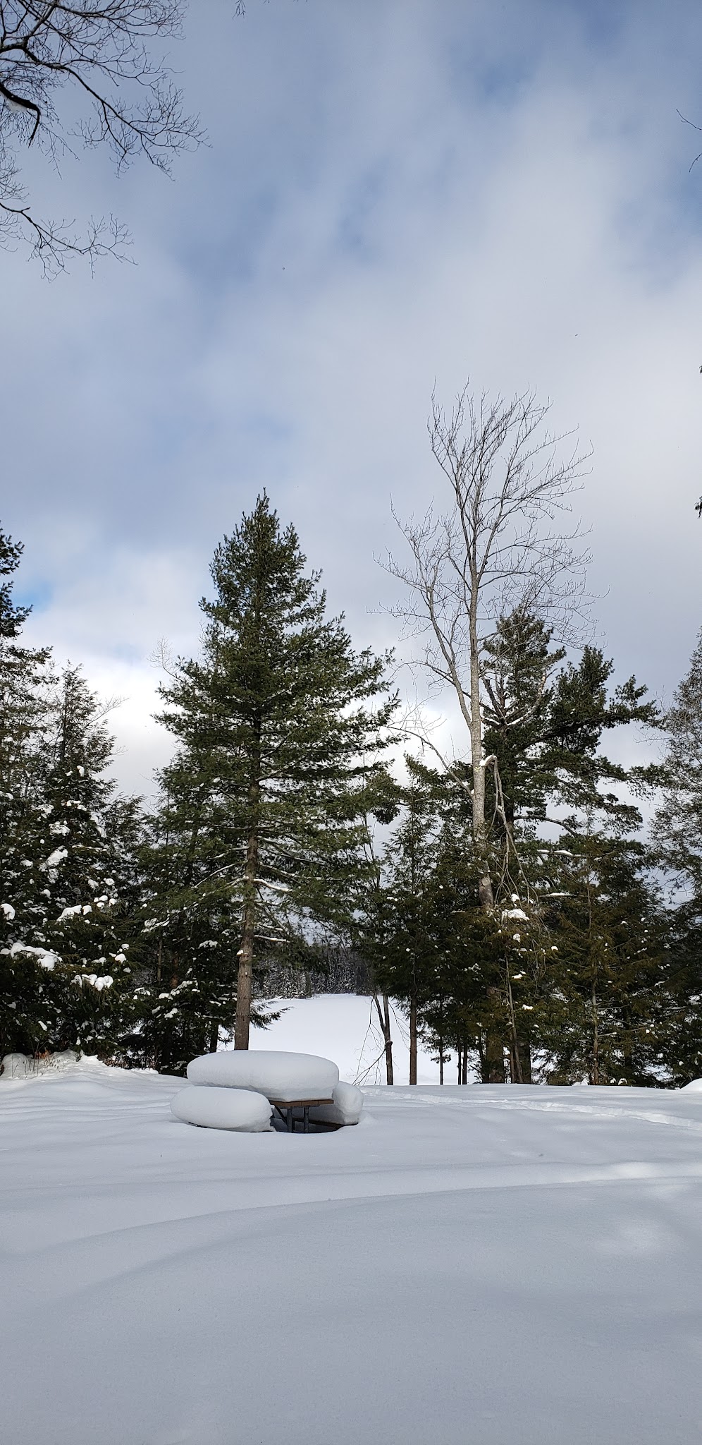 Emily Lake State Forest Campground