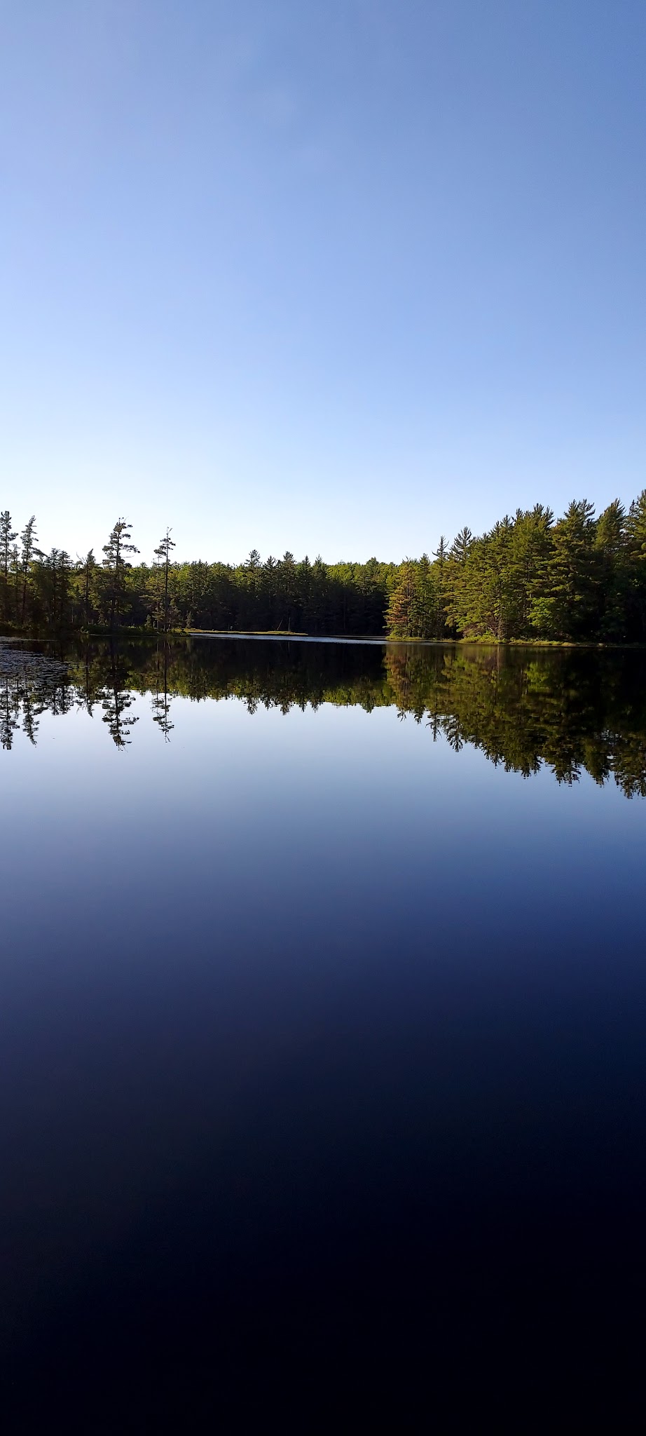 Emily Lake State Forest Campground