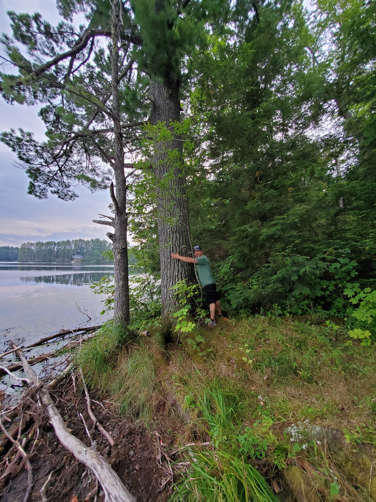 Emily Lake State Forest Campground