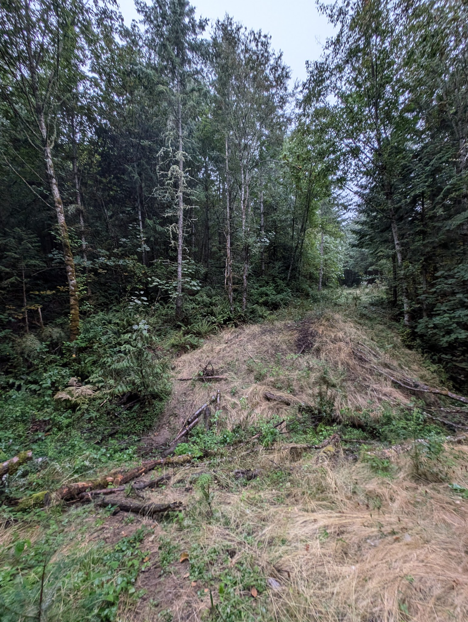 Ennis Creek Forest Habitat Preserve Sup Campground