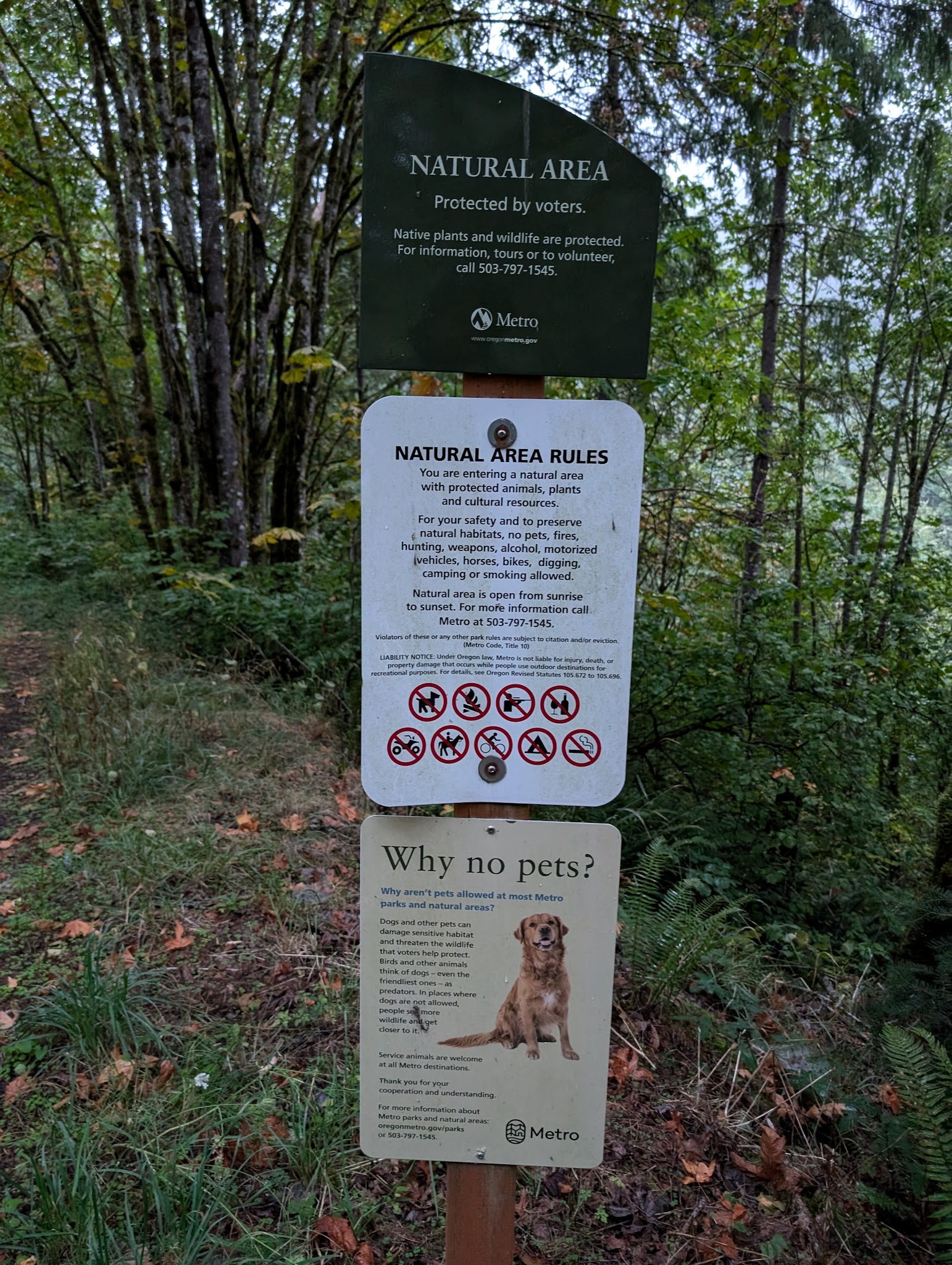 Ennis Creek Forest Habitat Preserve Sup Campground