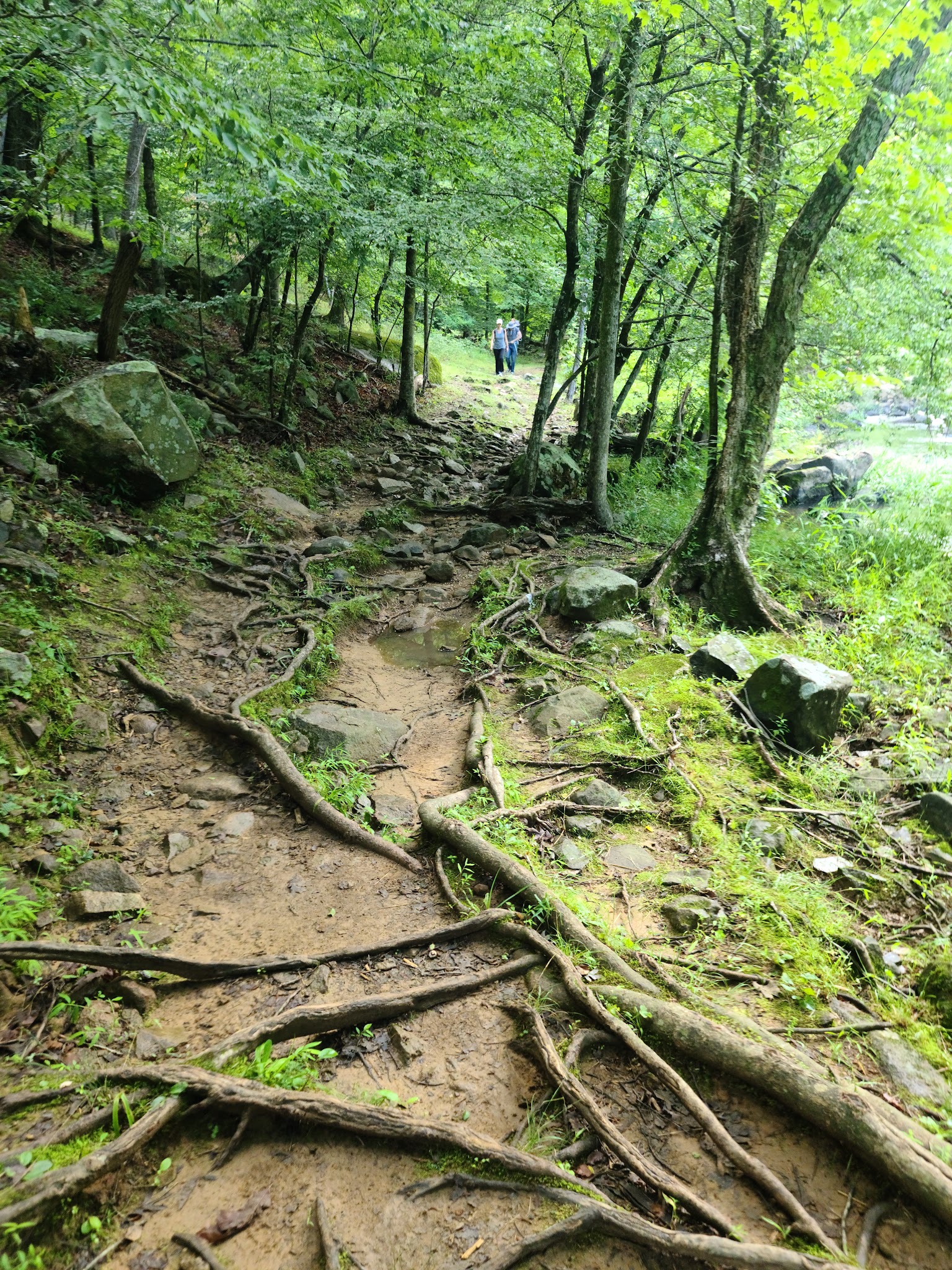 Eno River State Park