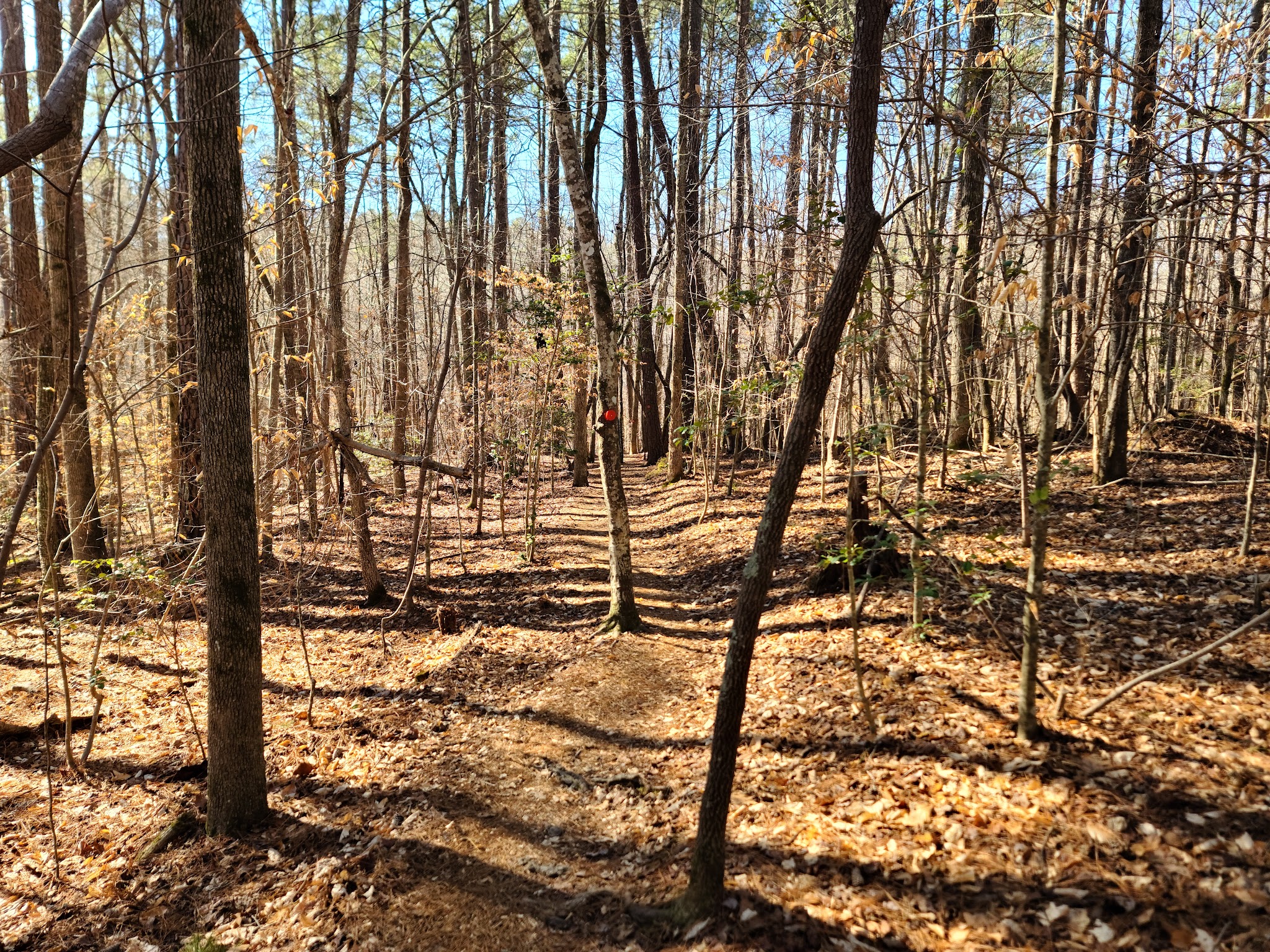 Eno River State Park