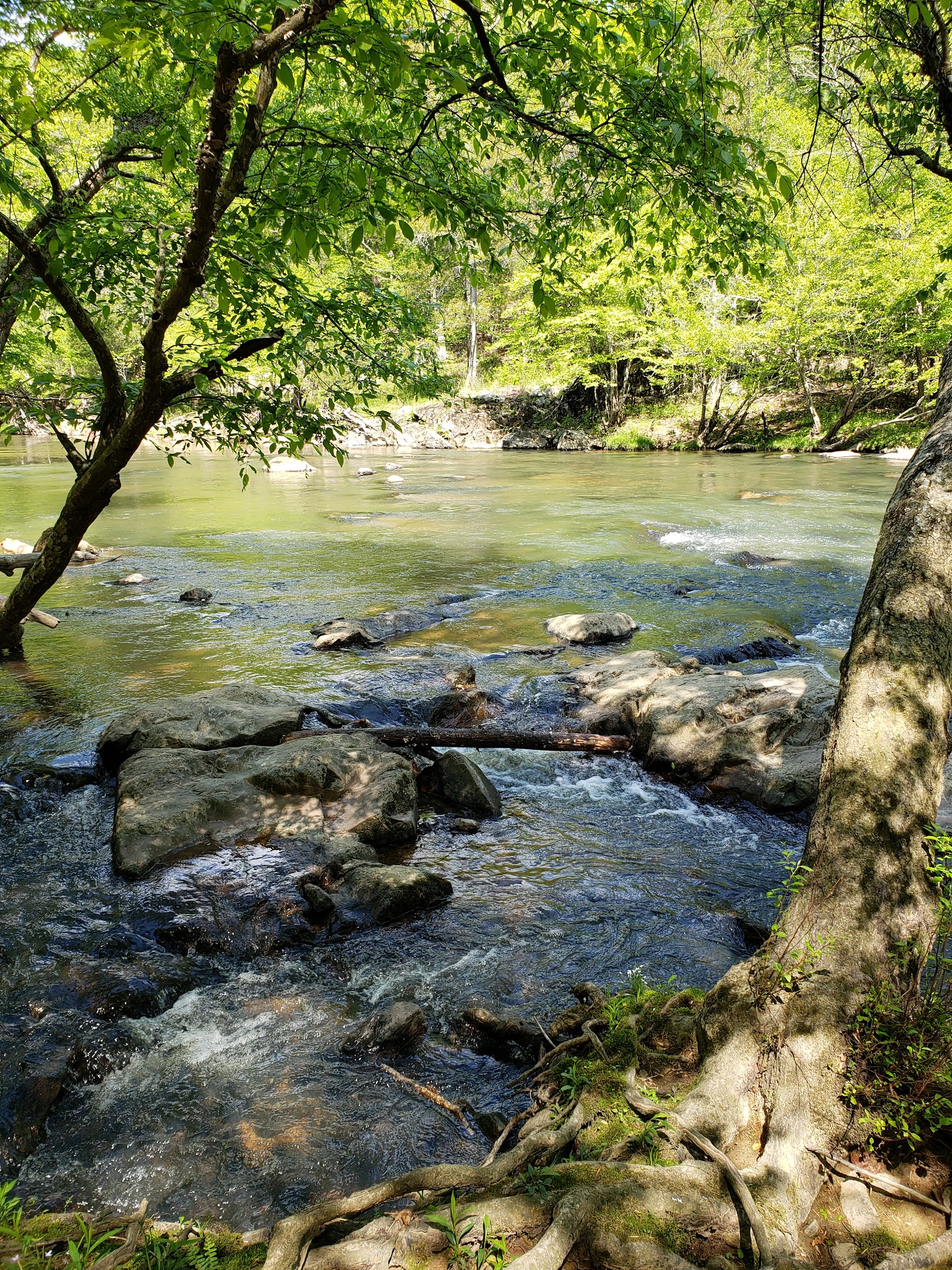 Eno River State Park