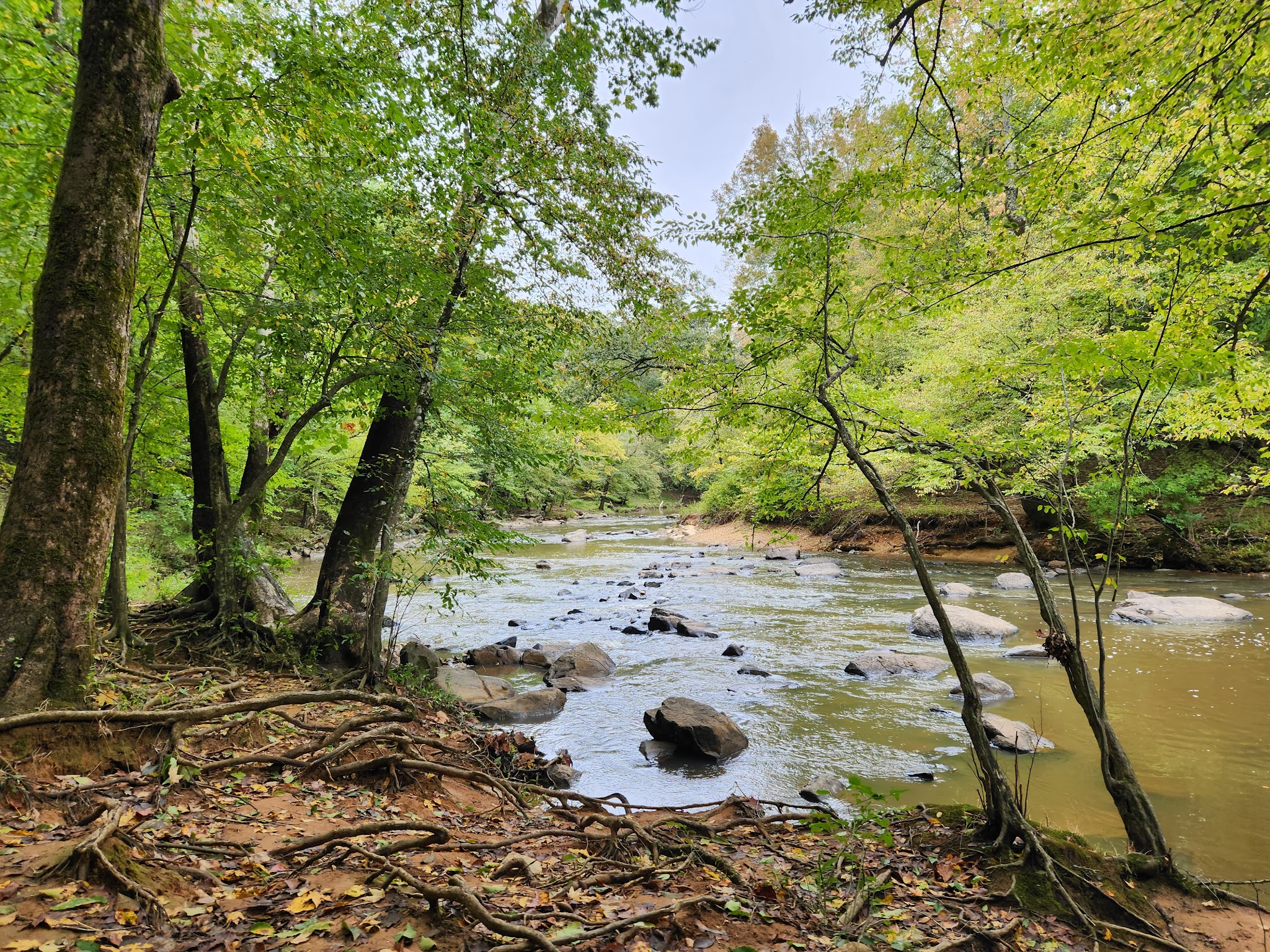 Eno River State Park