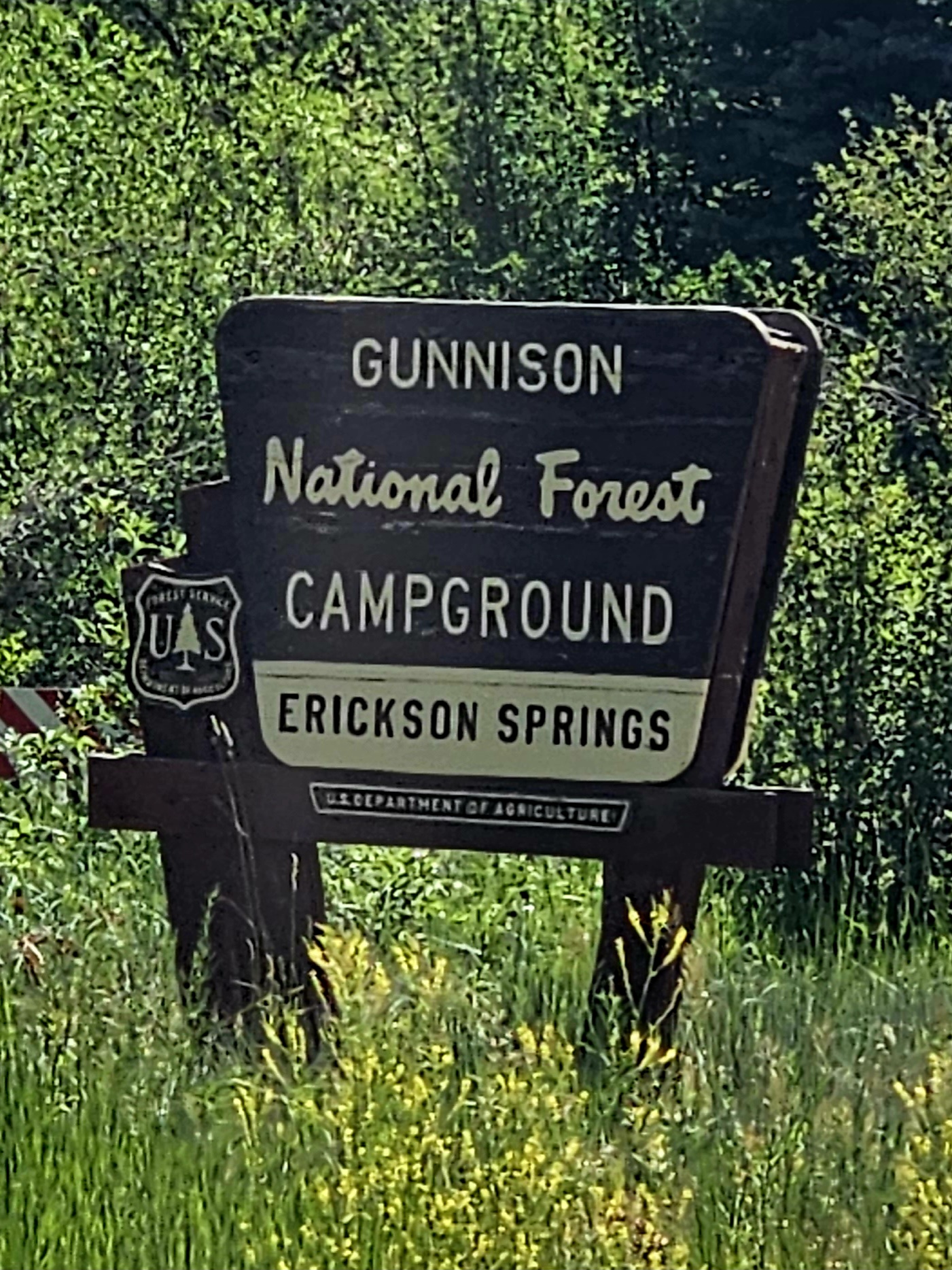 Erickson Springs