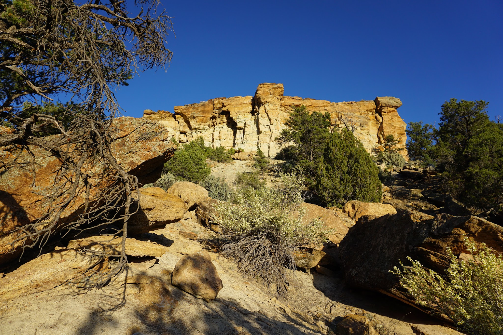 Escalante Petrified Forest State Park