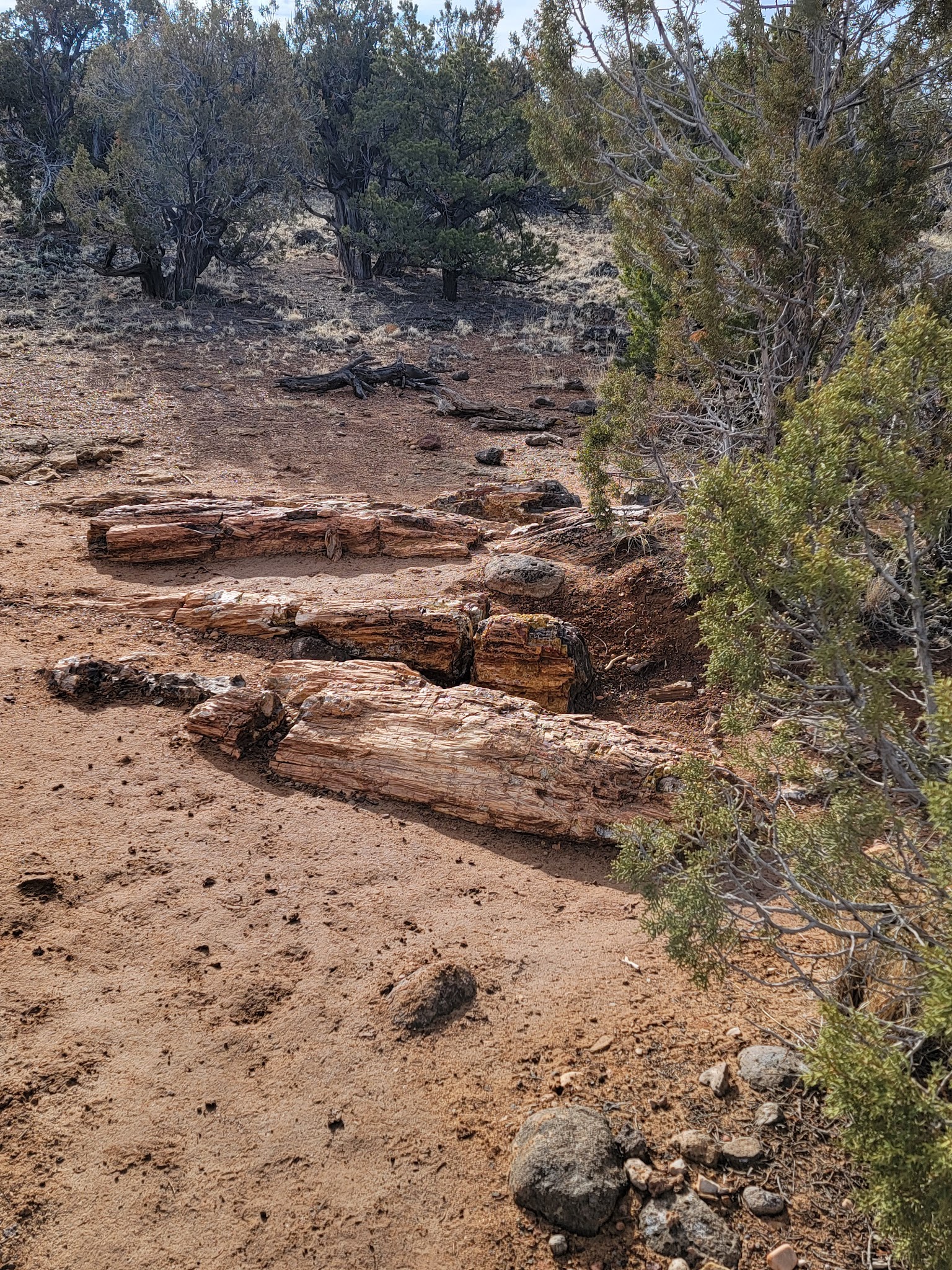 Escalante Petrified Forest State Park