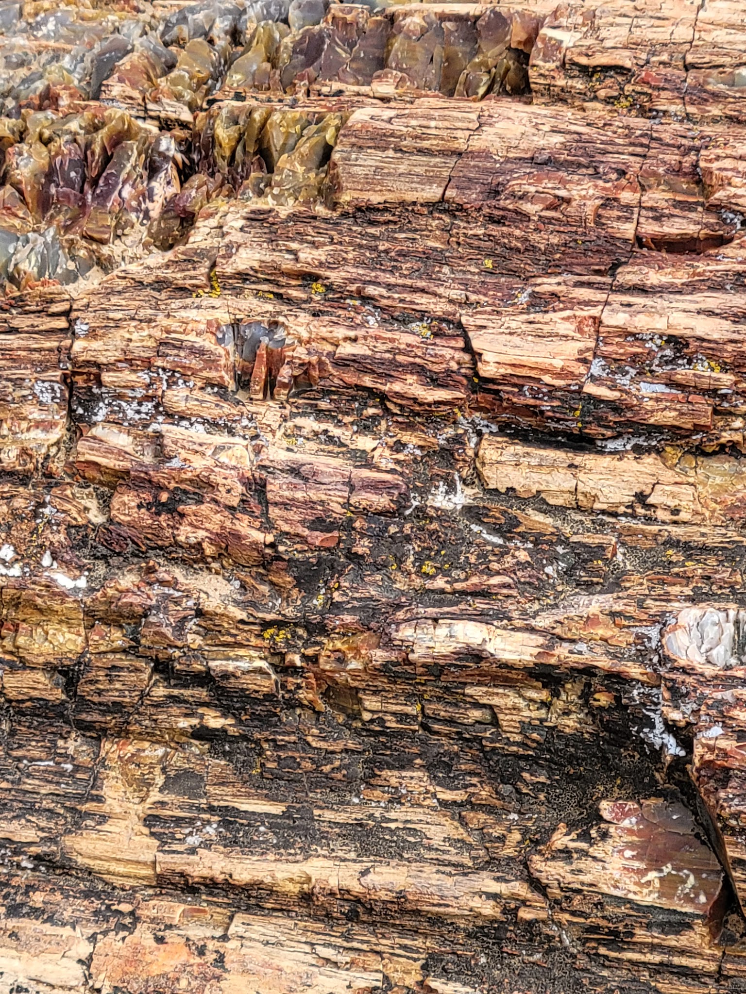 Escalante Petrified Forest State Park