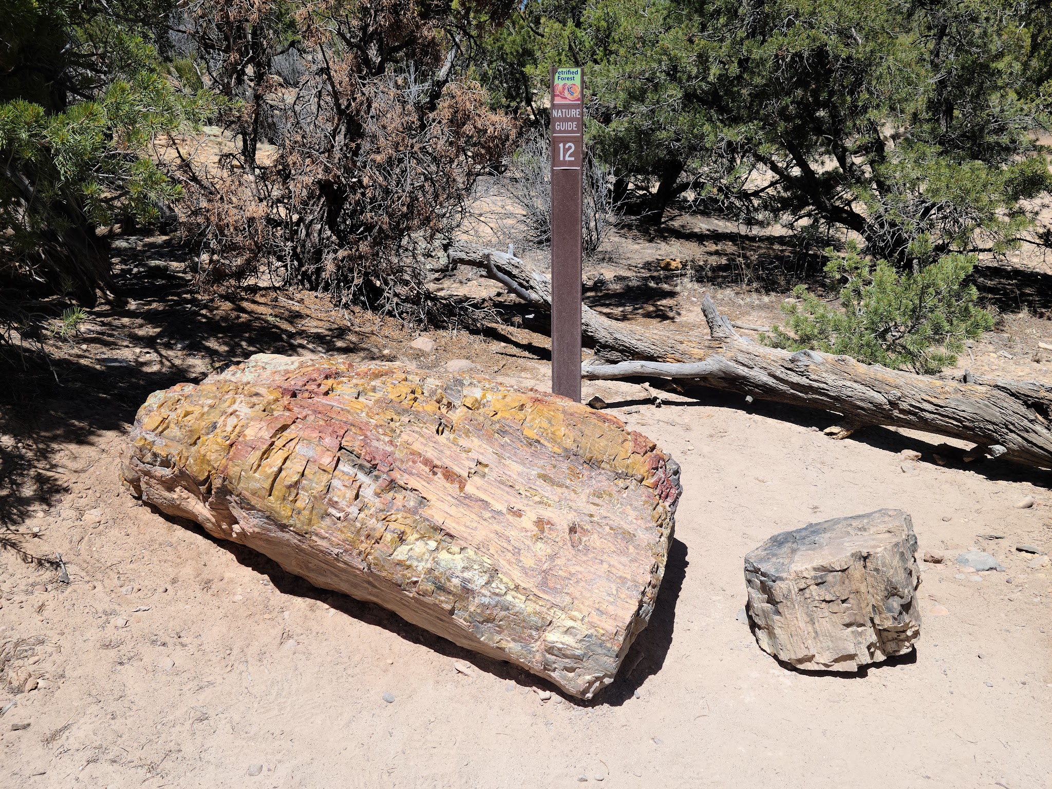 Escalante Petrified Forest State Park