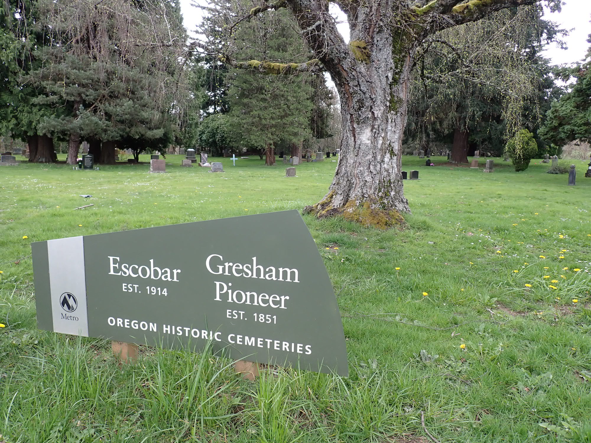 Escobar Cemetery Activities Campground