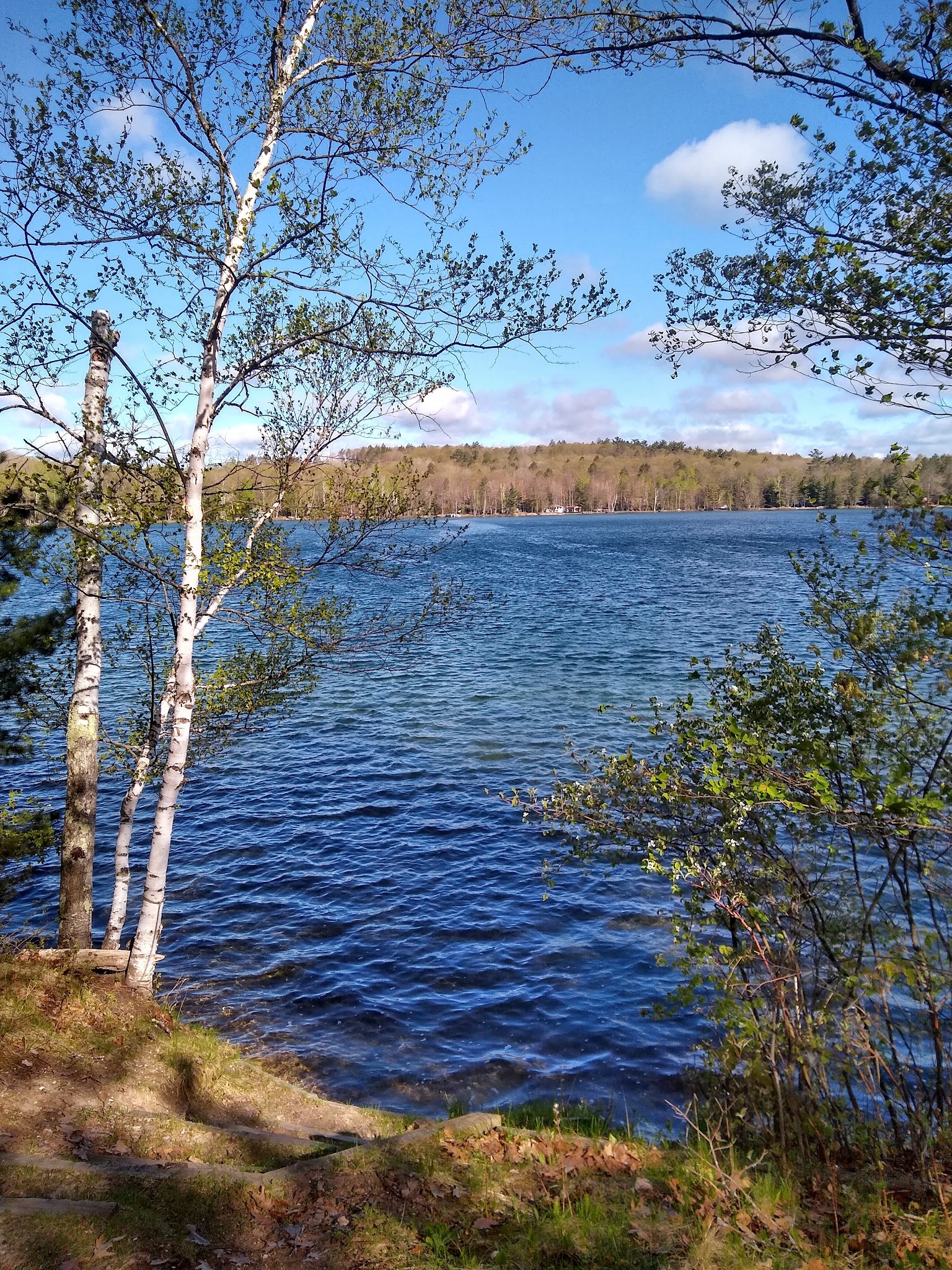 Ess Lake State Forest Campground