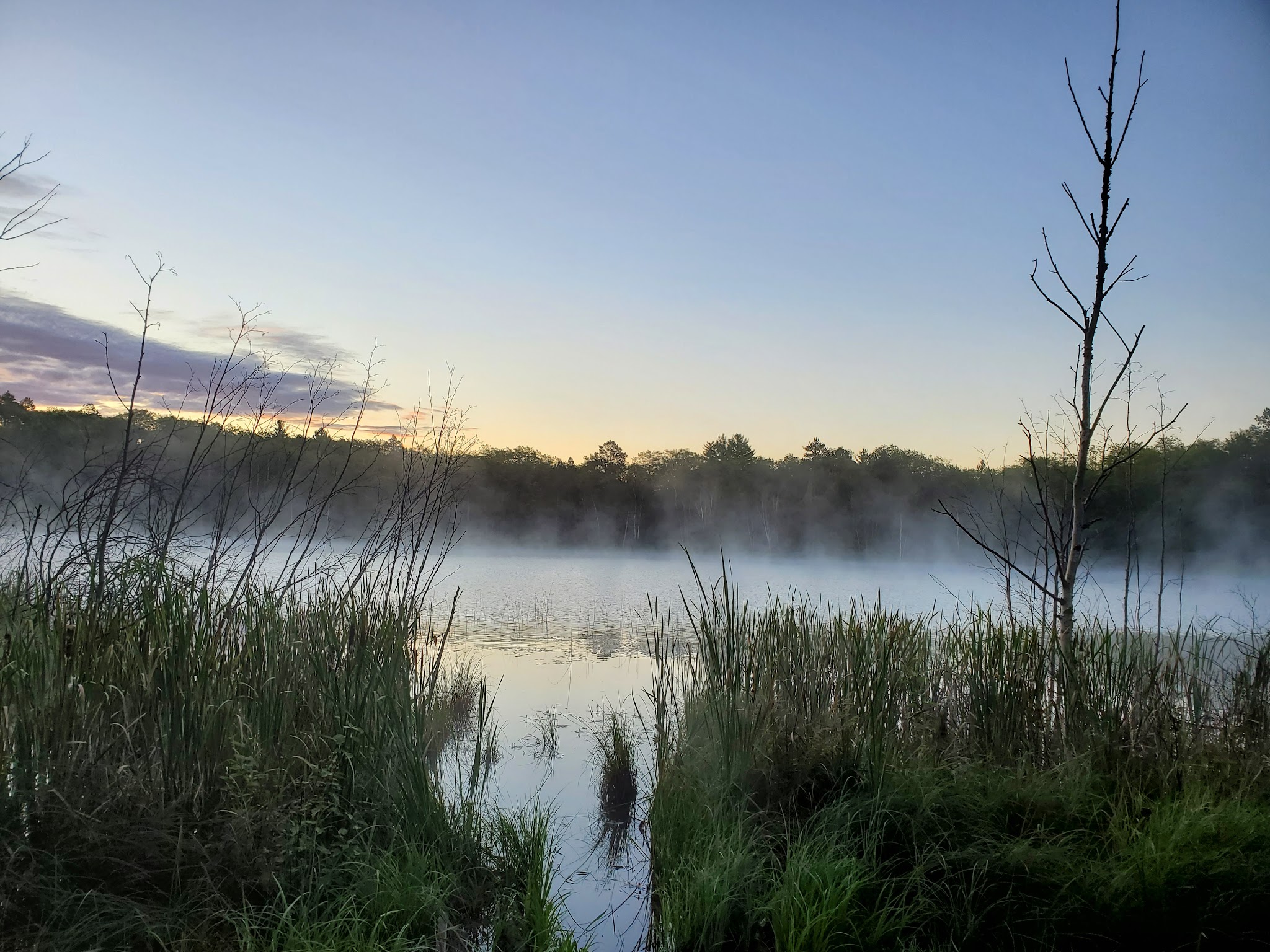Ess Lake State Forest Campground