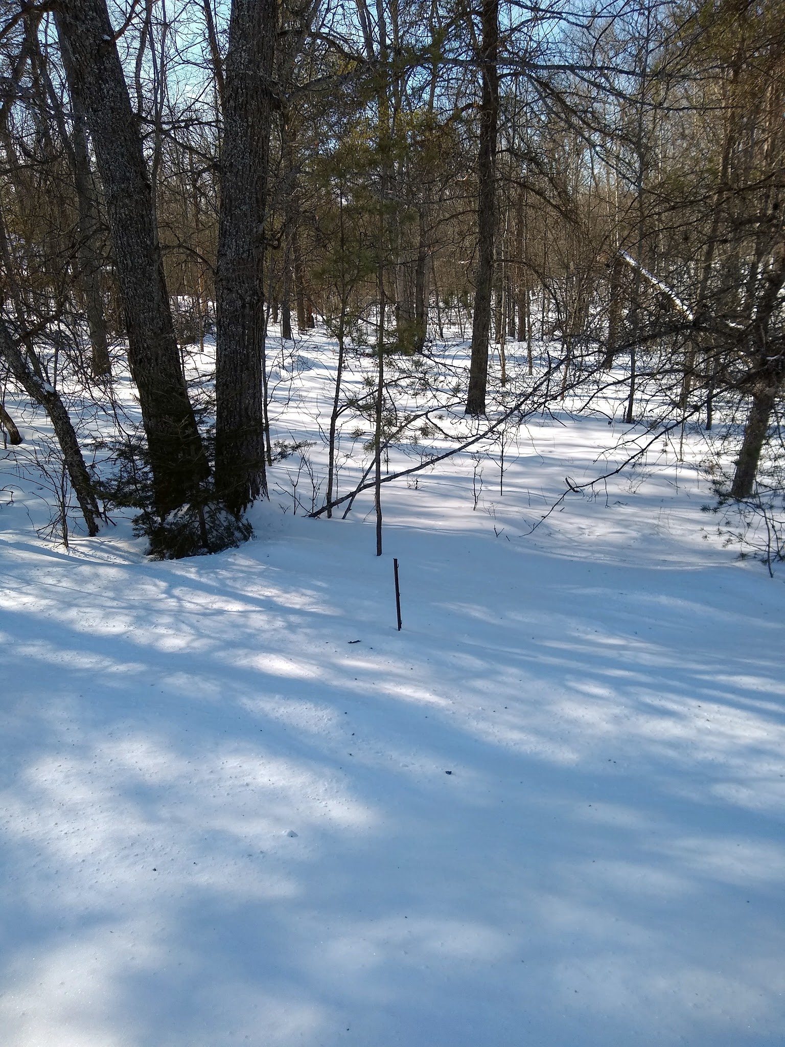 Ess Lake State Forest Campground