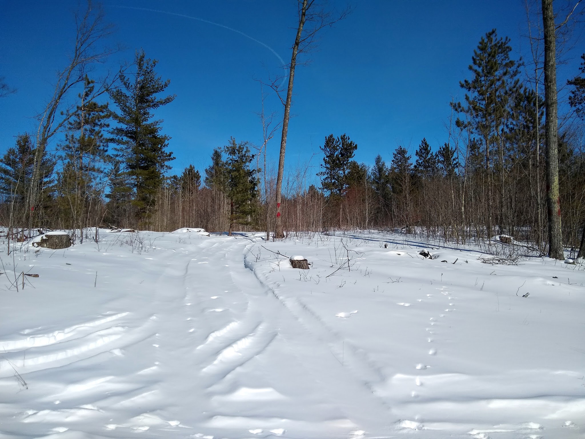 Ess Lake State Forest Campground