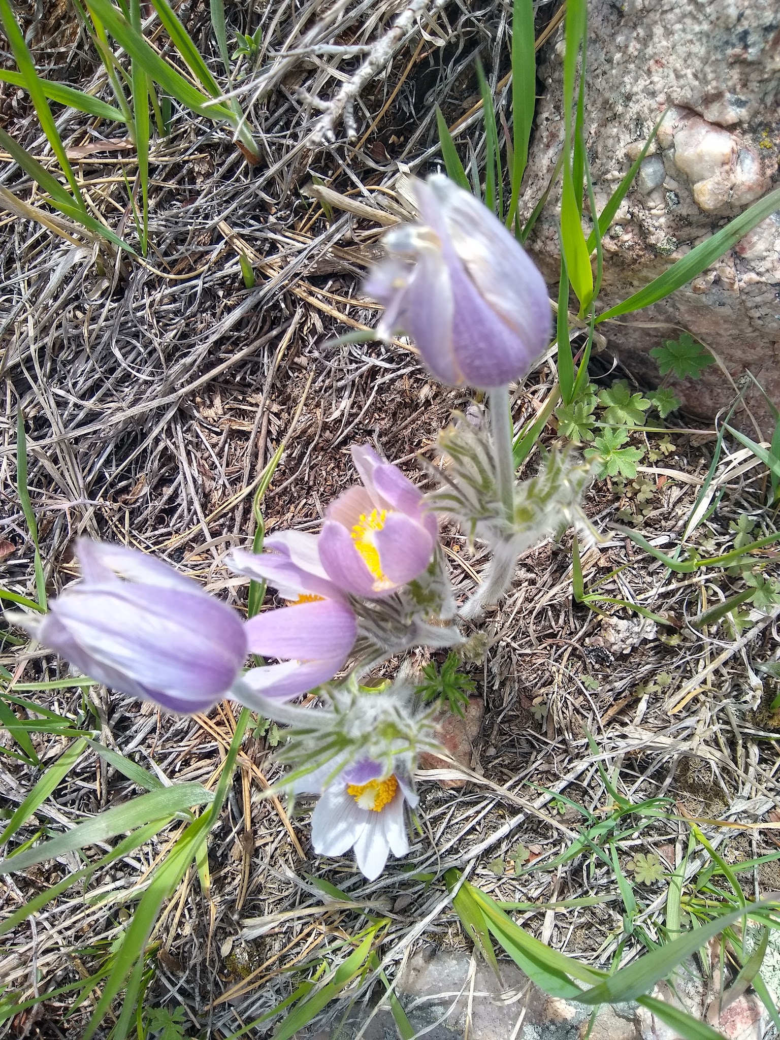 Esterbrook Campground
