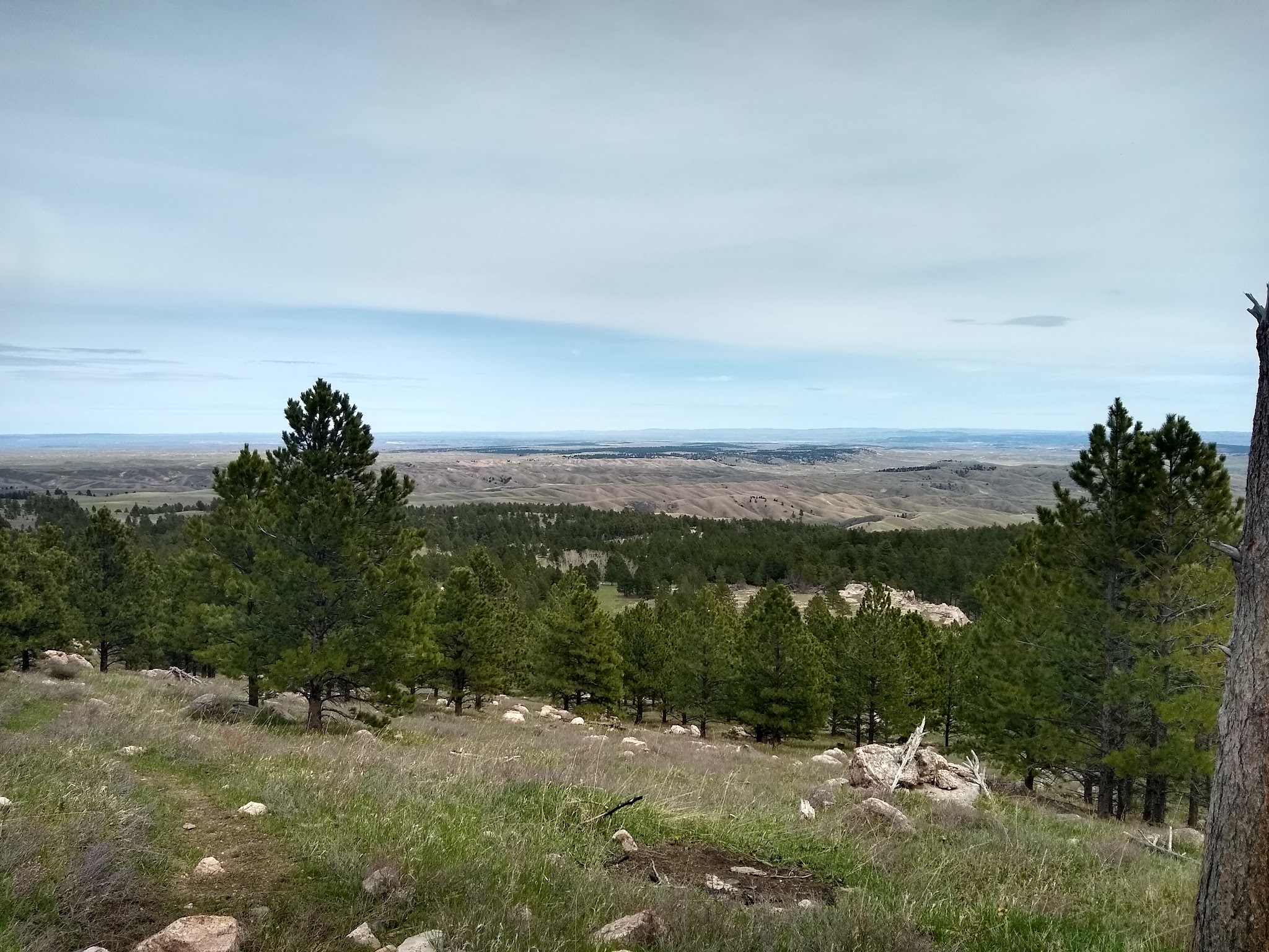 Esterbrook Campground