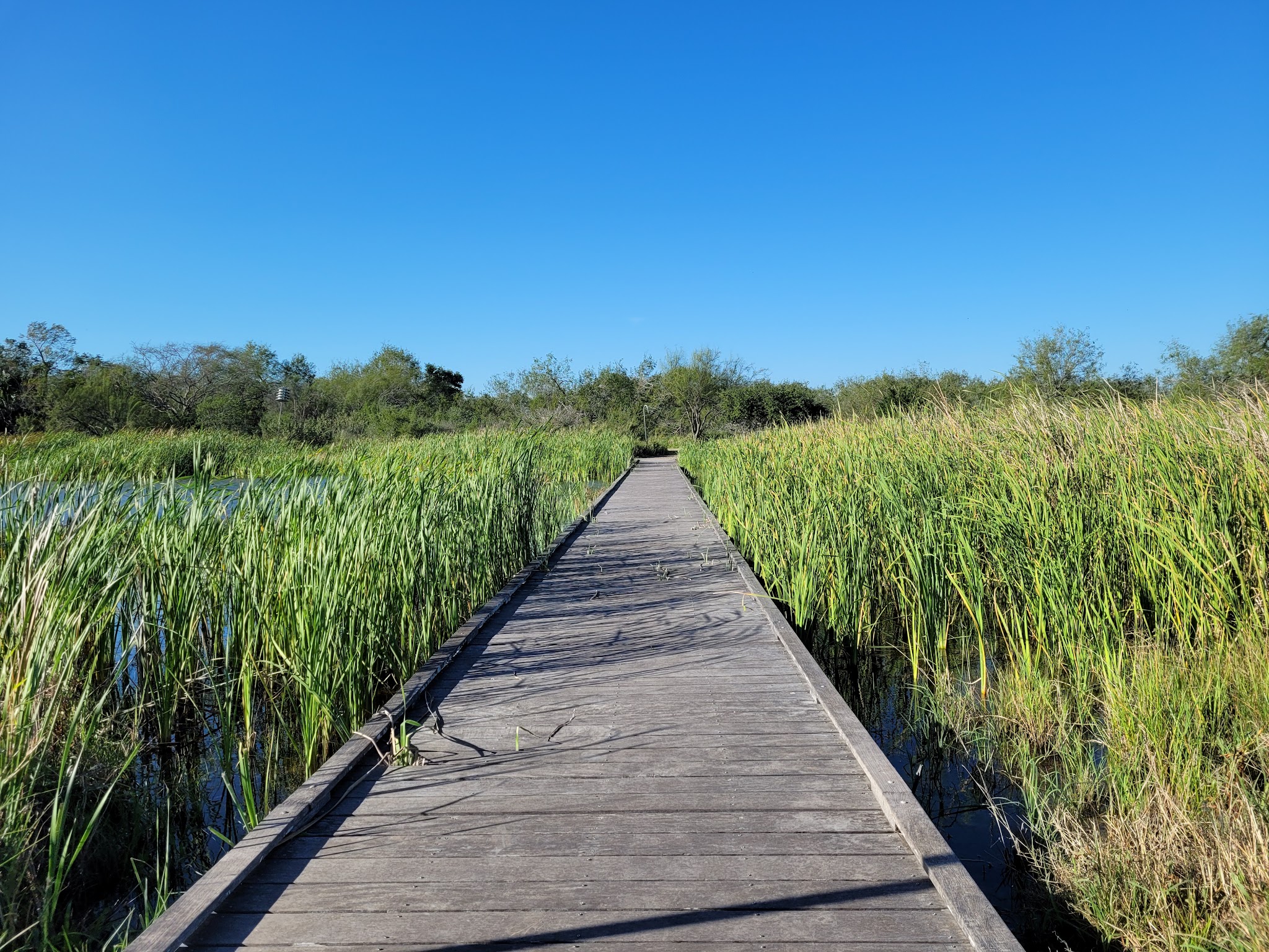 Estero Llano Grande State Park