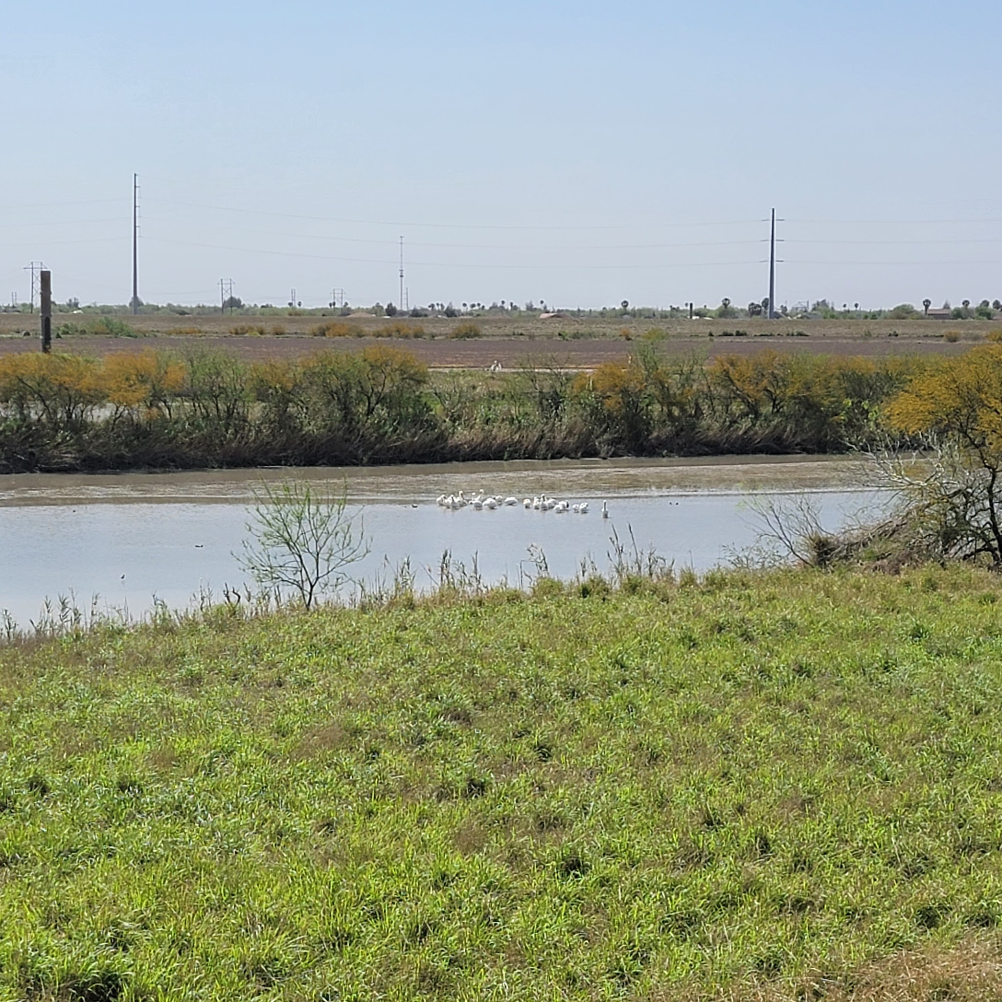 Estero Llano Grande State Park