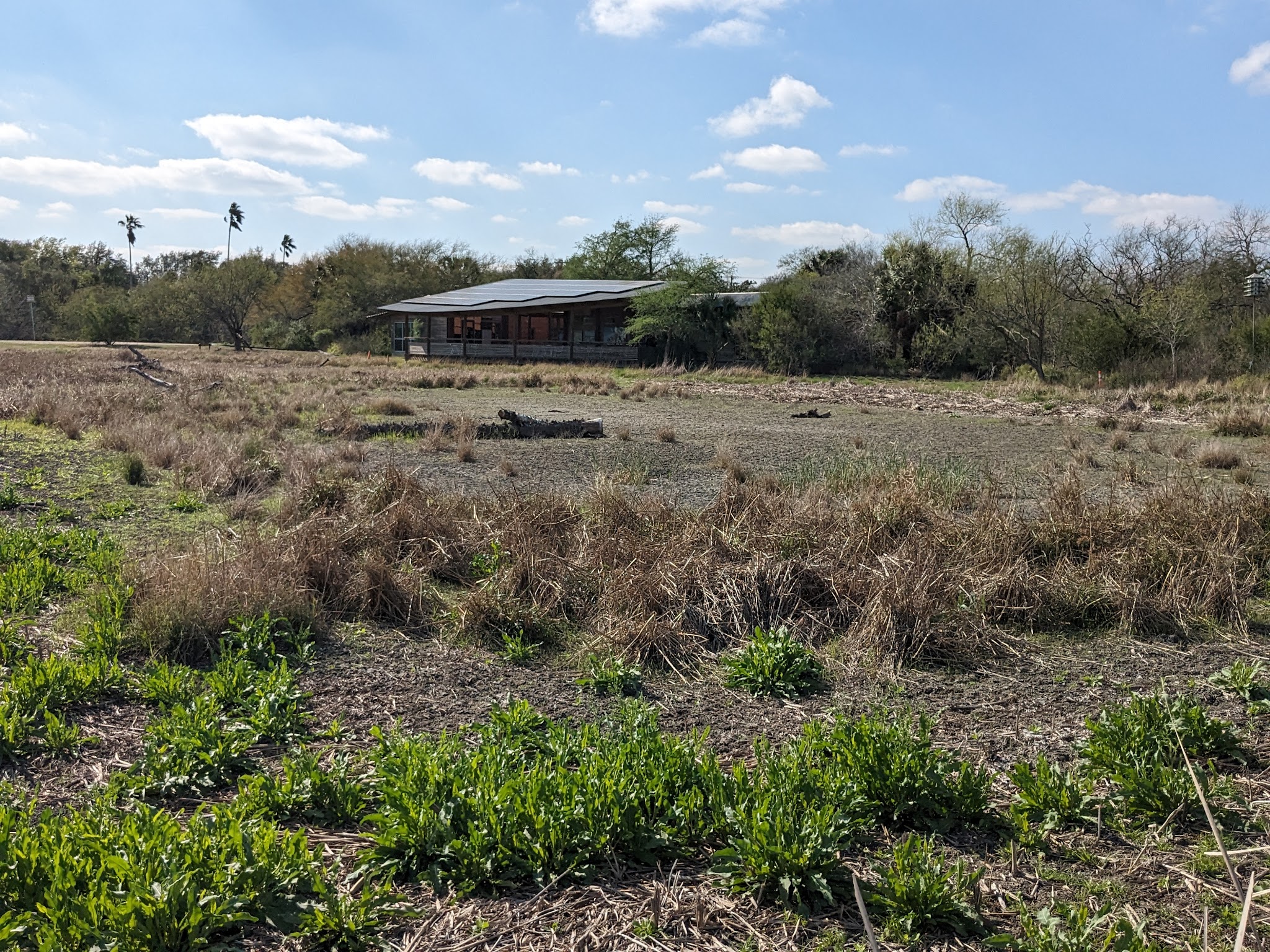 Estero Llano Grande State Park
