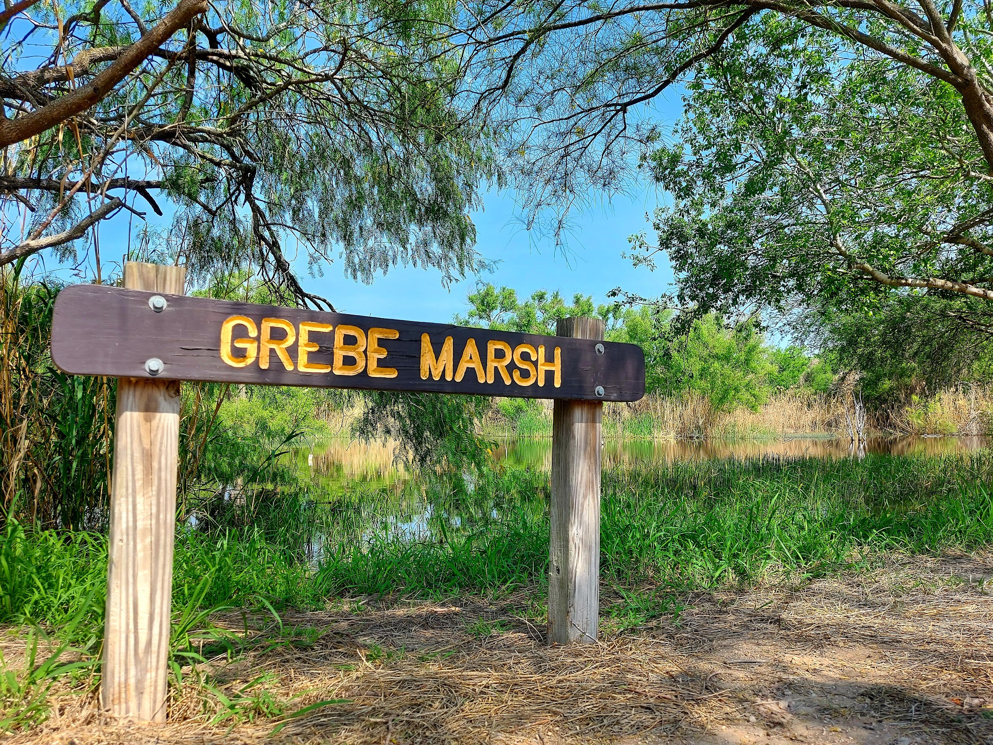 Estero Llano Grande State Park