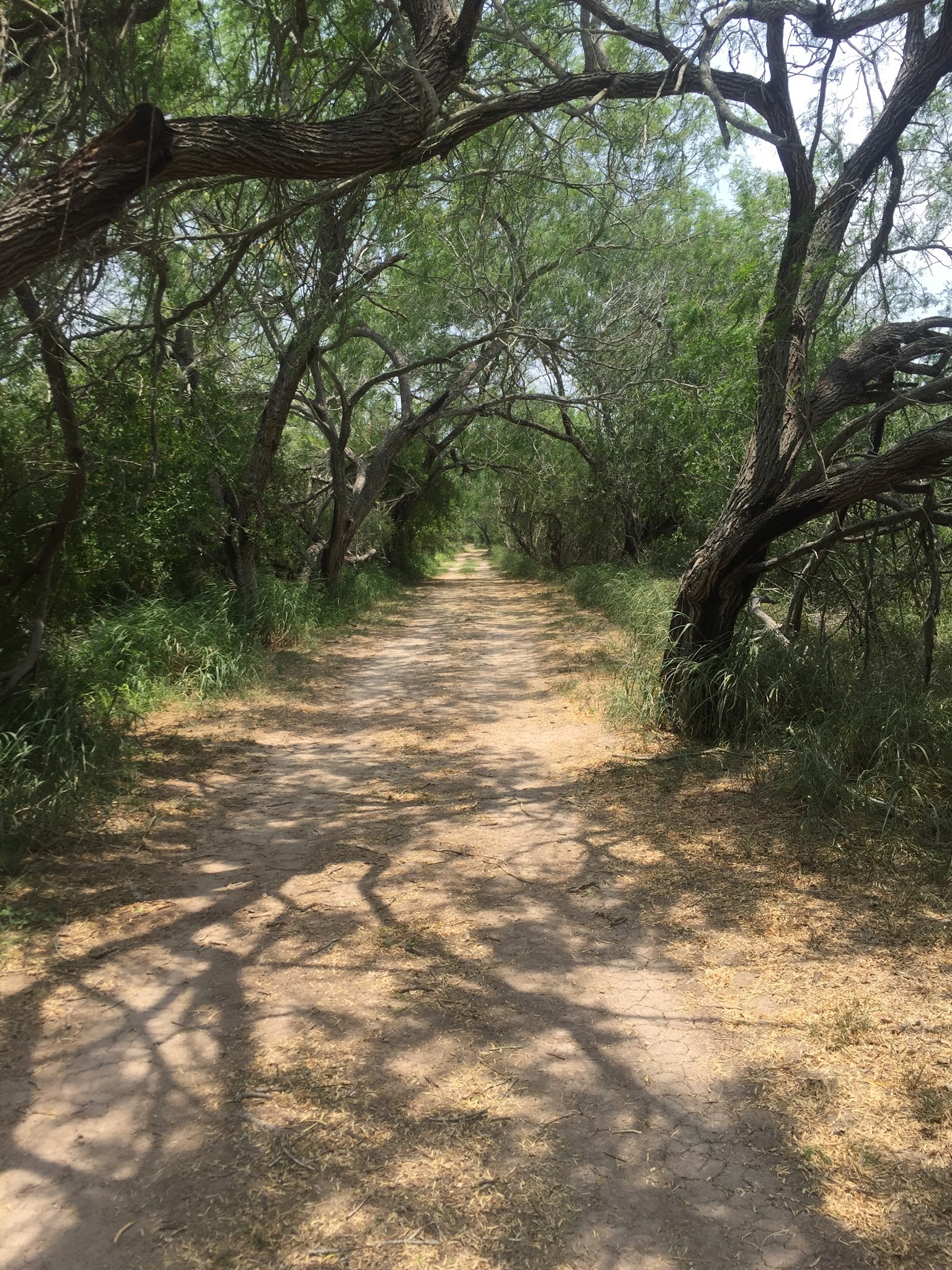 Estero Llano Grande State Park