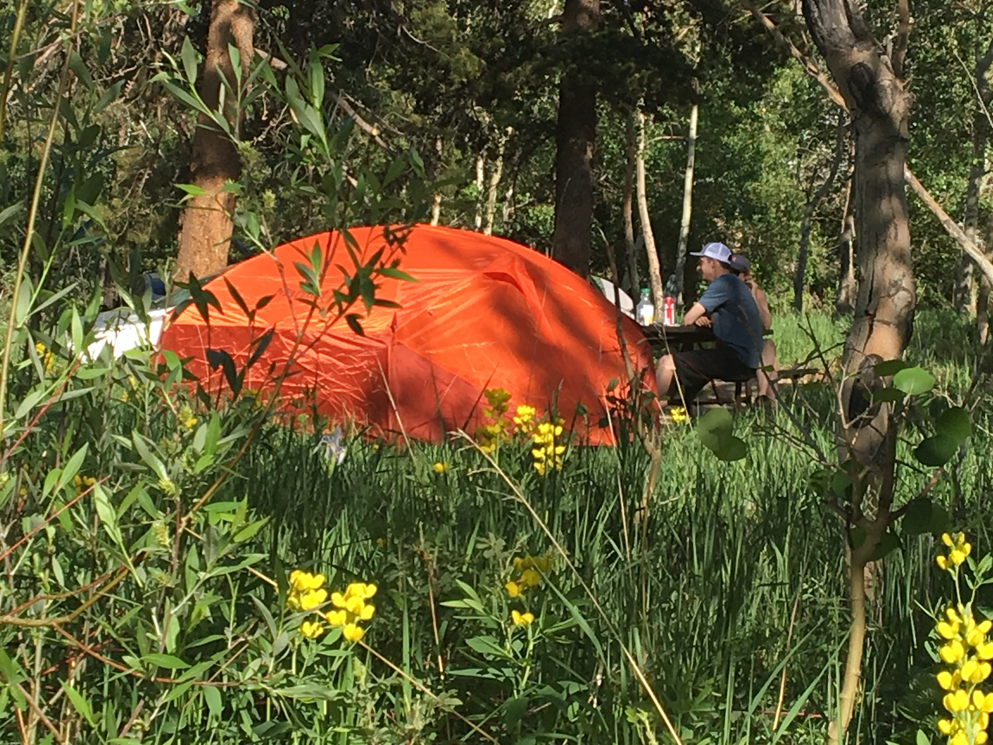 Estes Park Campground At East Portal