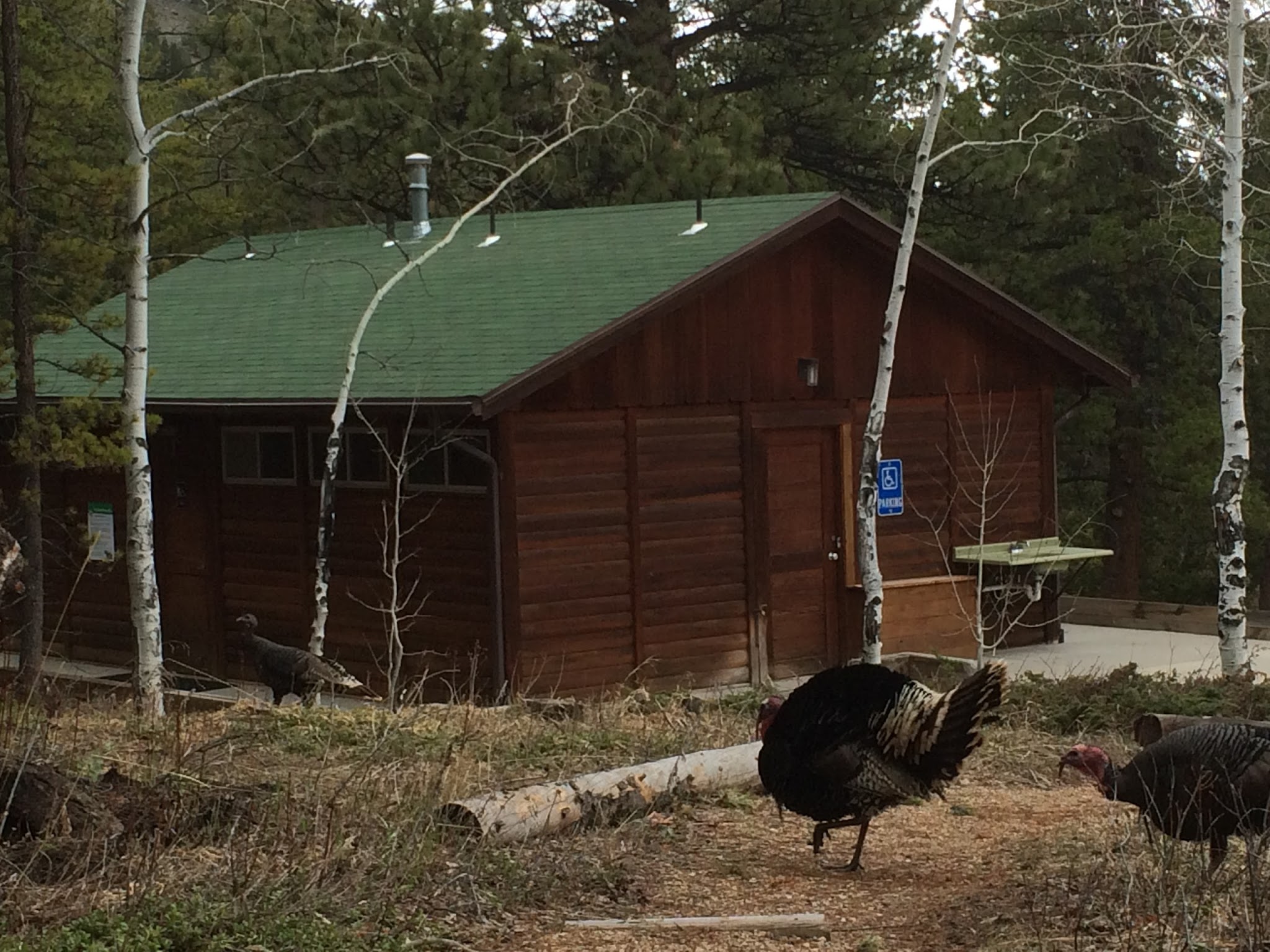 Estes Park Campground At East Portal