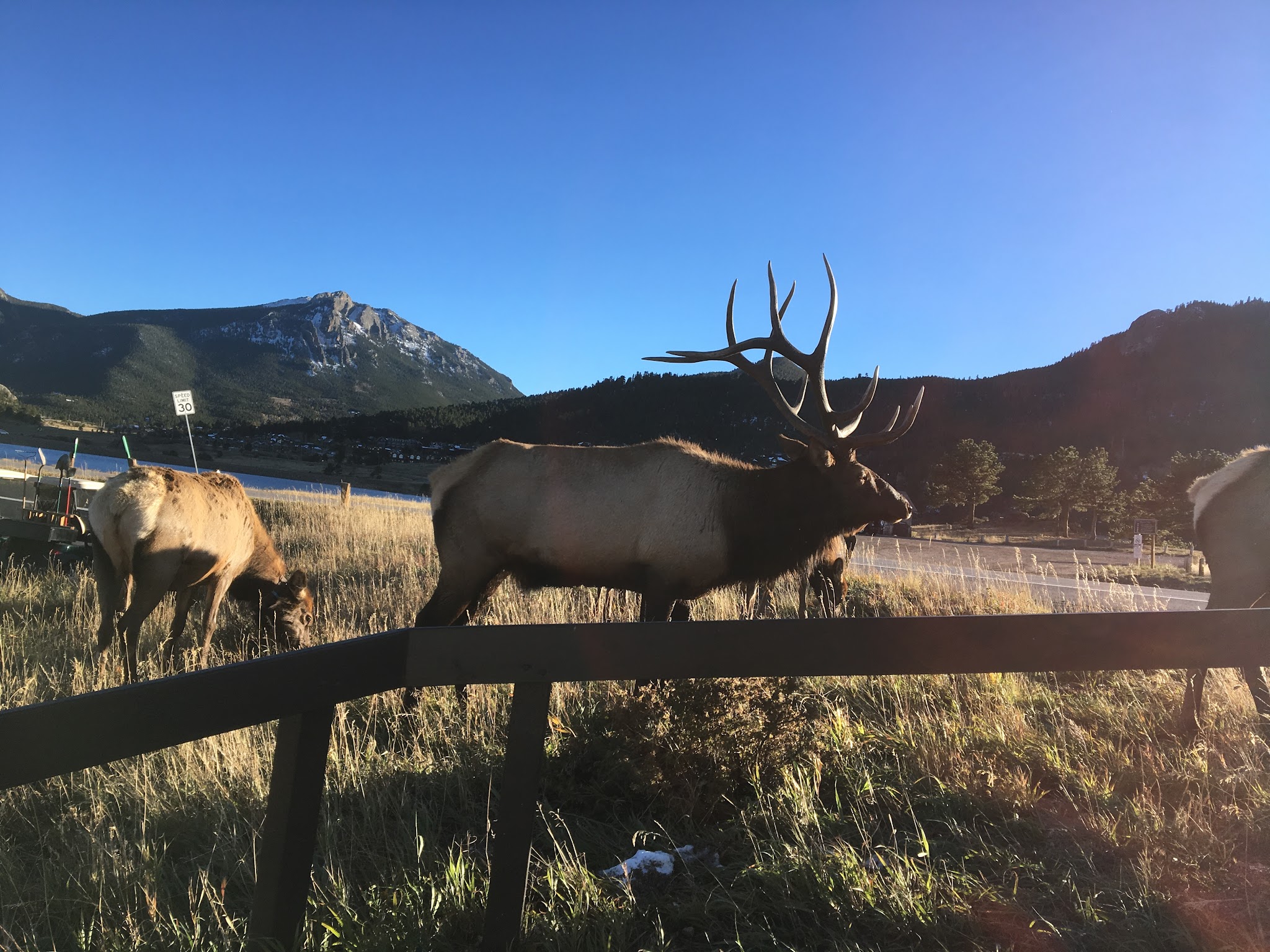 Estes Park Campground At Marys Lake