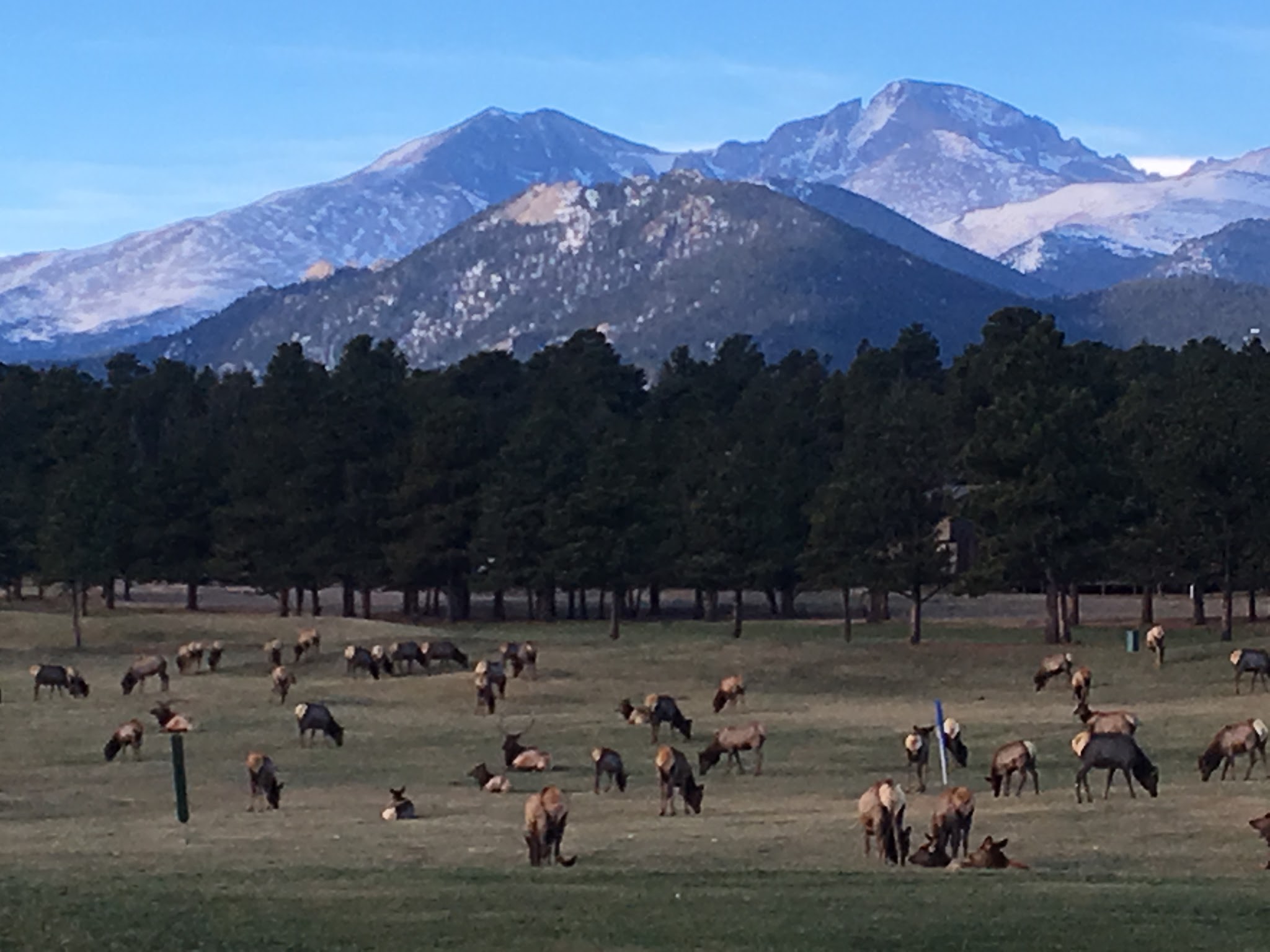 Estes Park Campground At Marys Lake