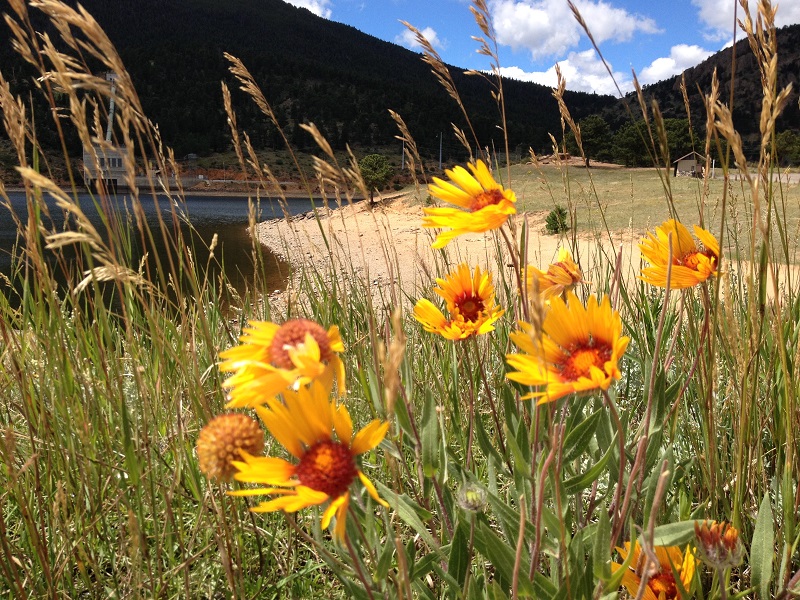 Estes Park Campground At Marys Lake